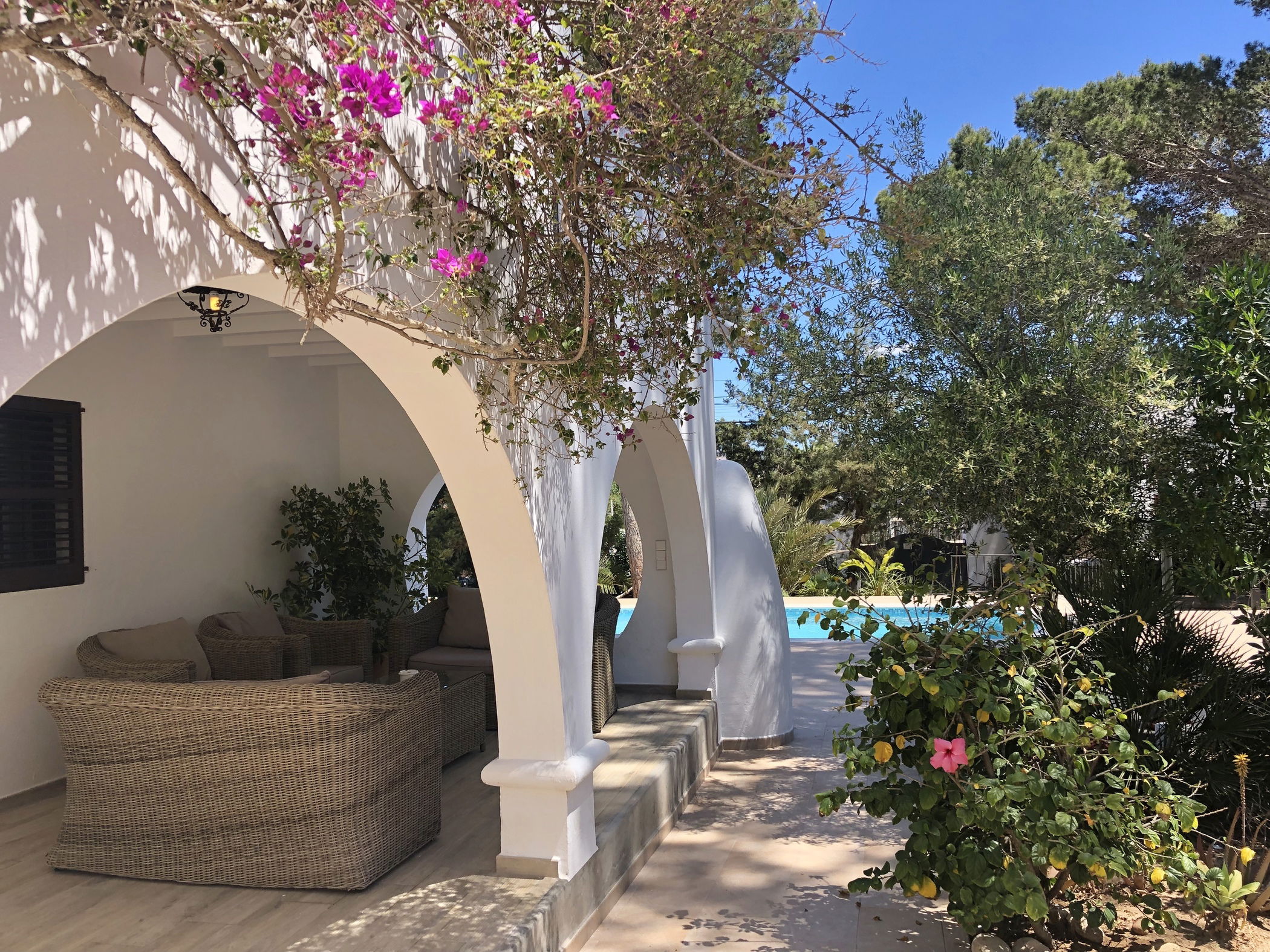 imágen del listado por defecto 1