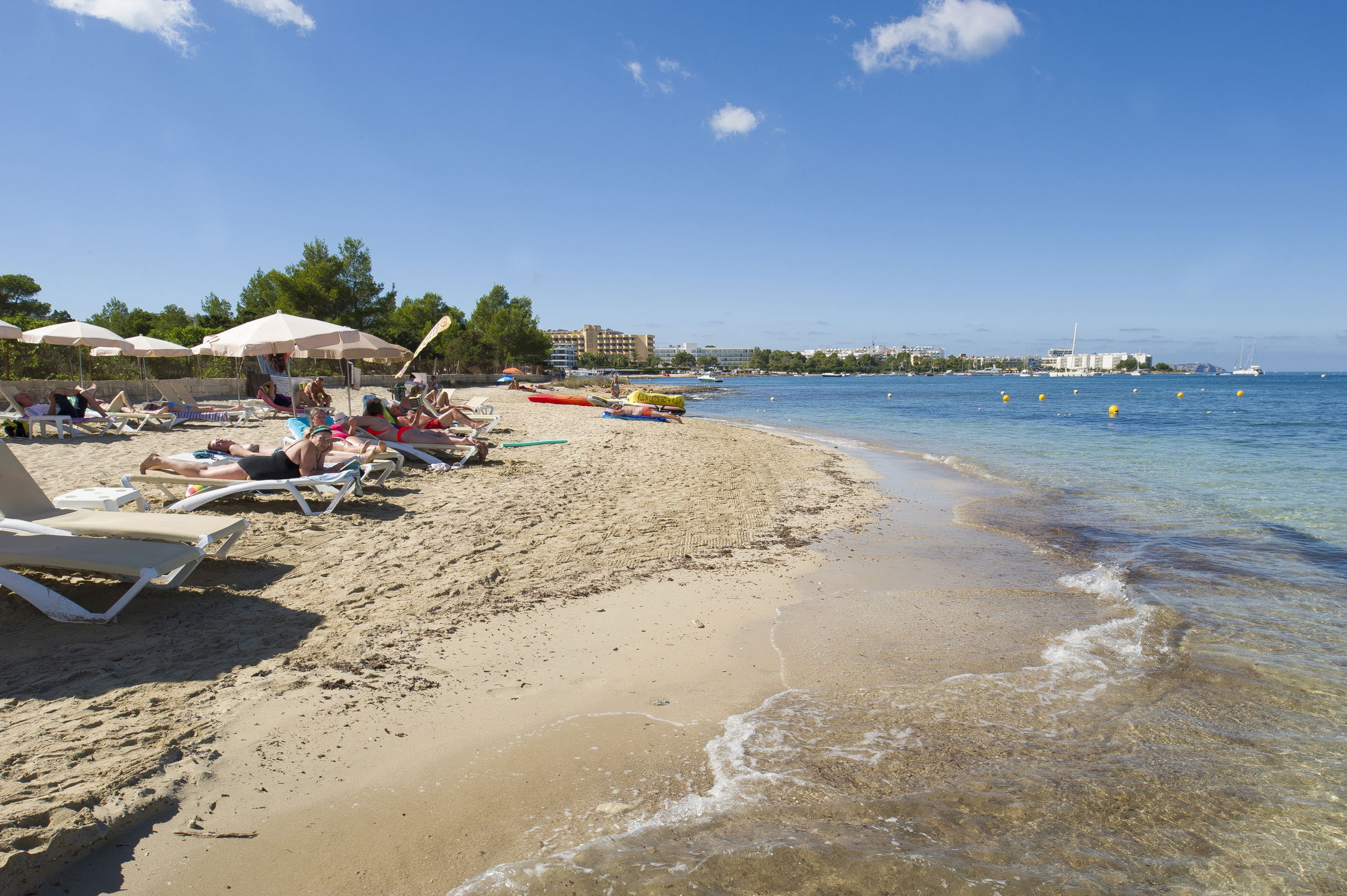 imágen del listado por defecto 6