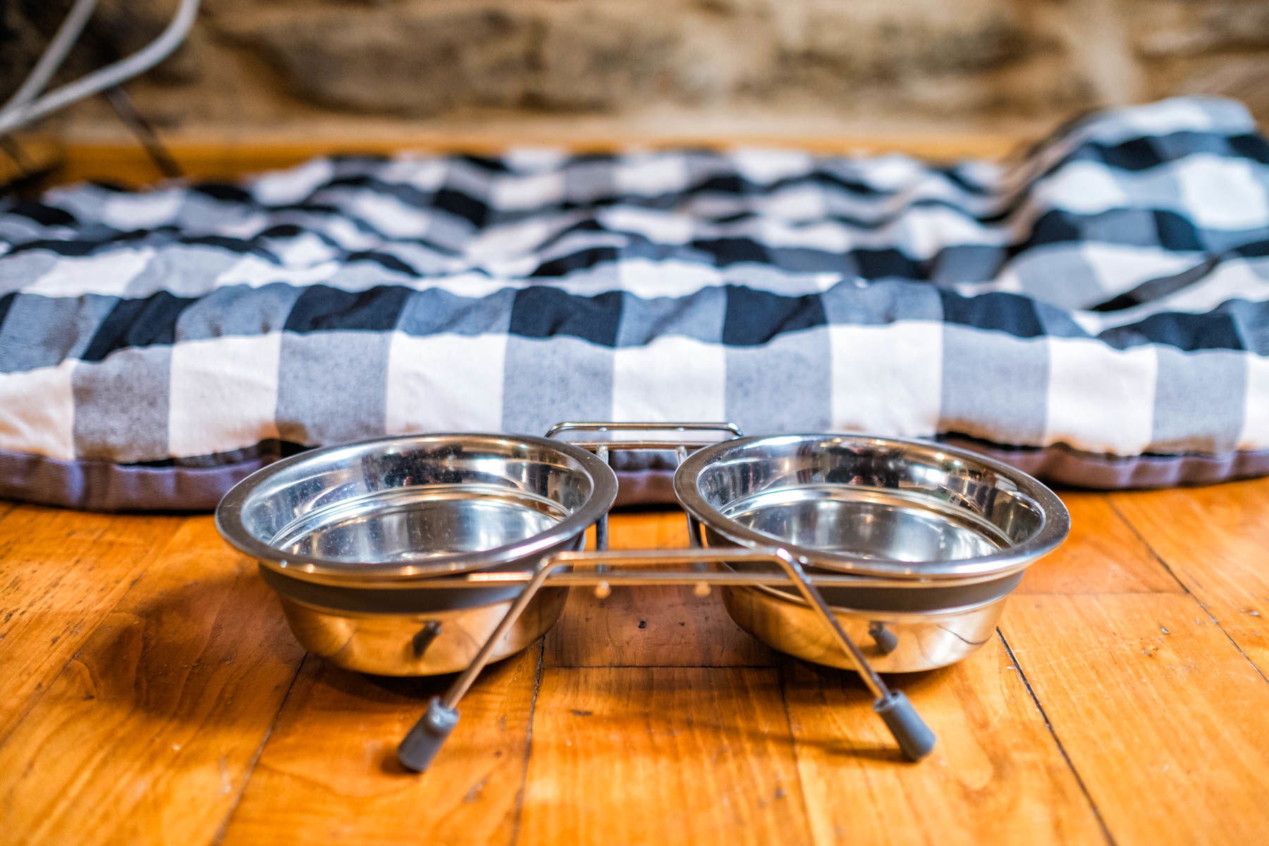 3 nuevos hoteles pet friendly de Alda Hotels