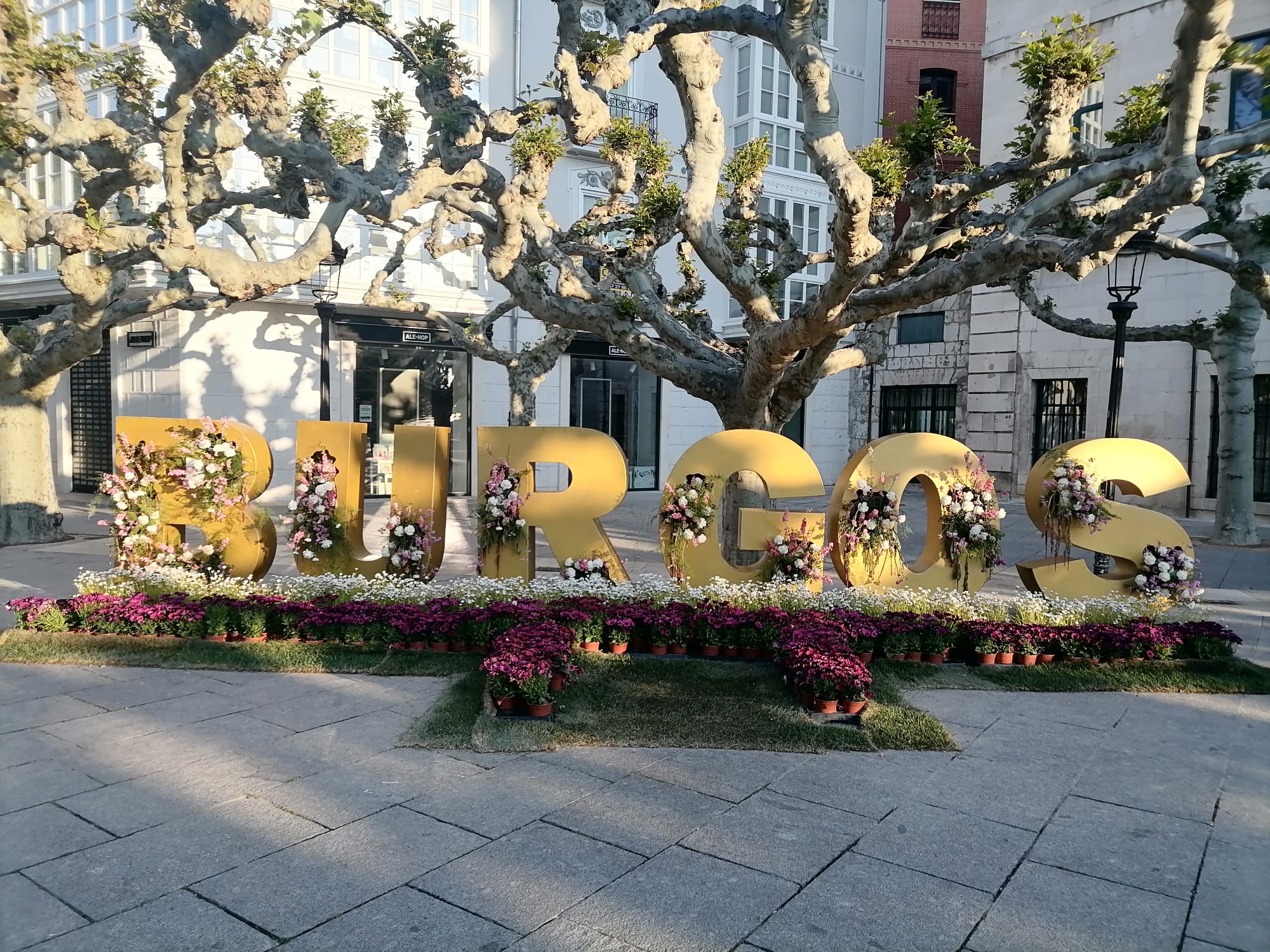 Imagen de la Galería