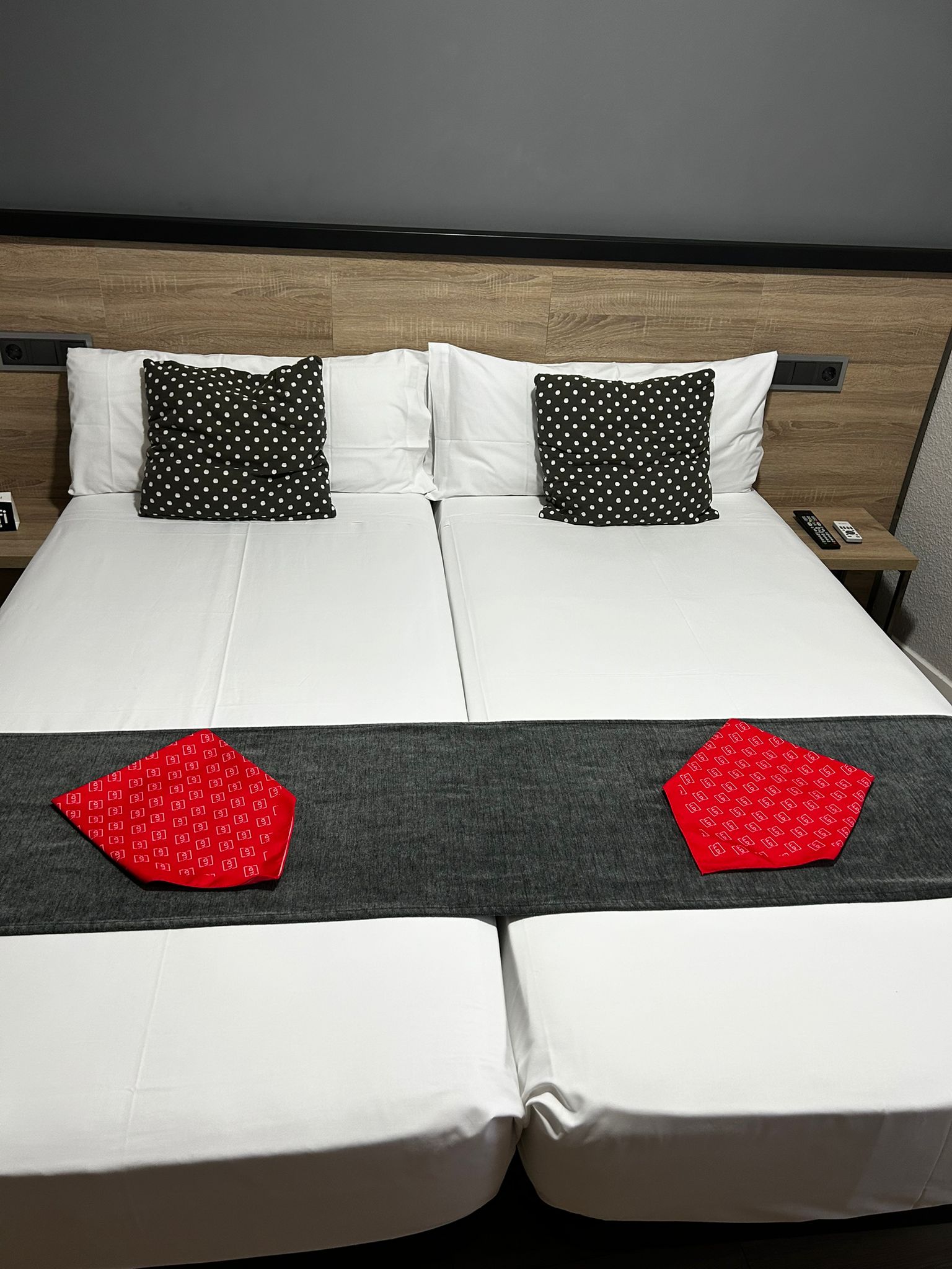 Imagen de la Galería