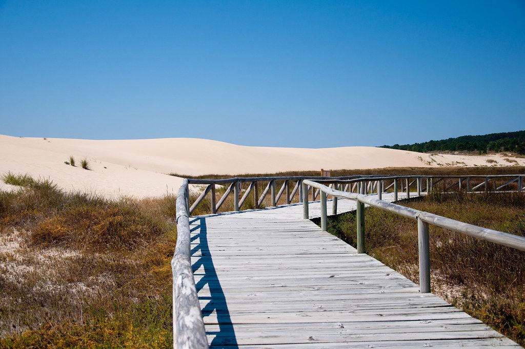 Imagen de la Galería