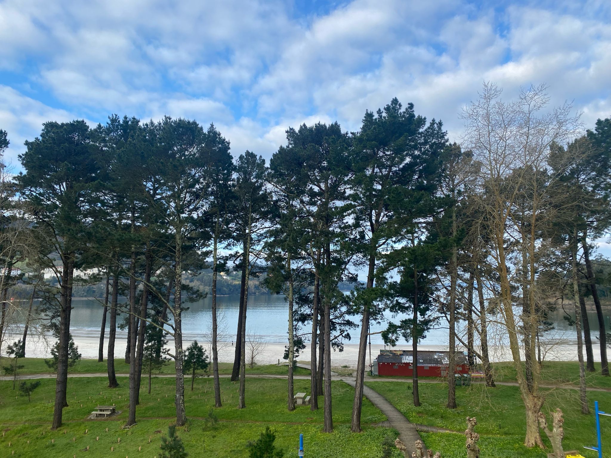 Imagen de la Galería