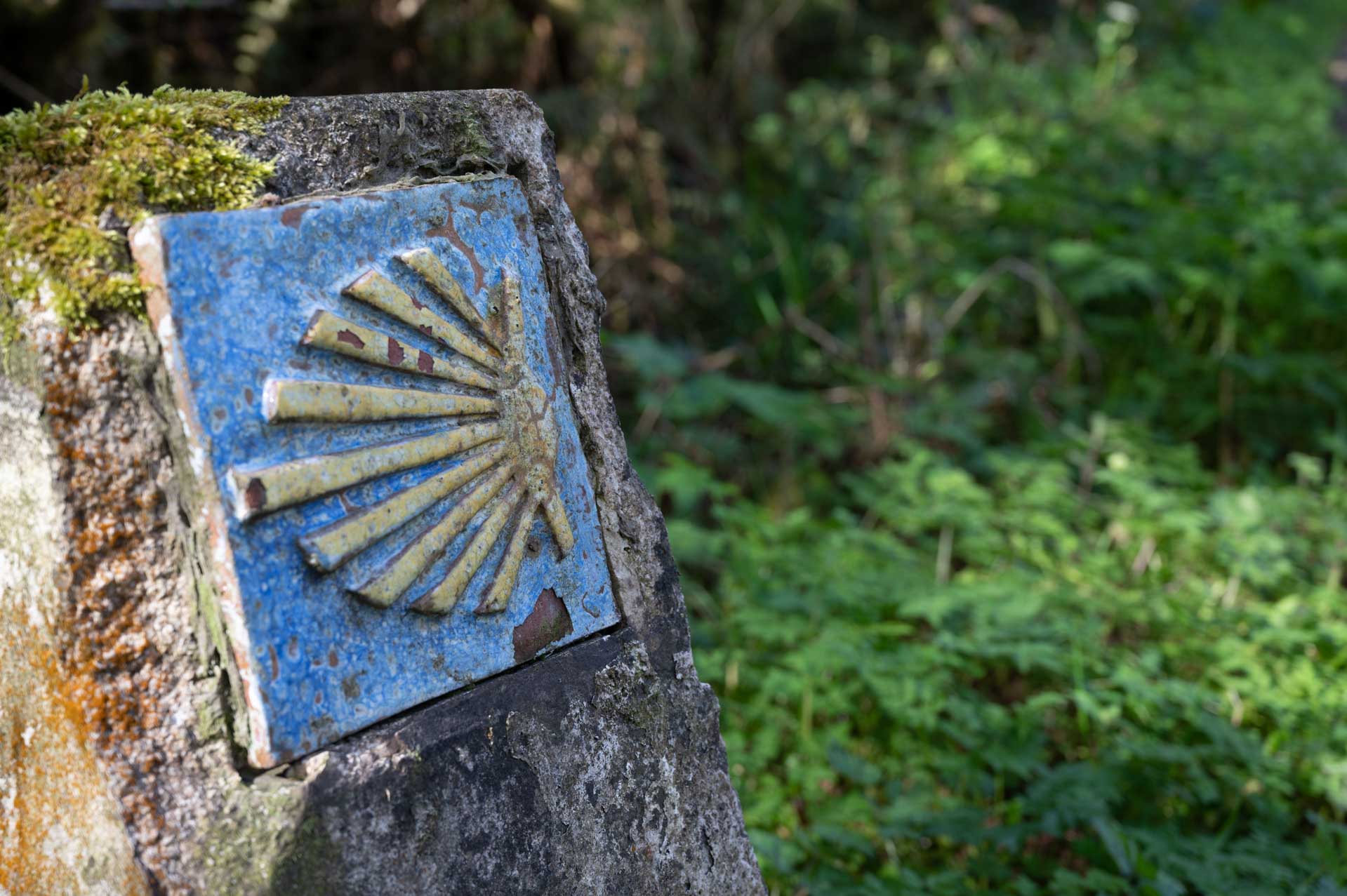 Imagen Camino de Santiago