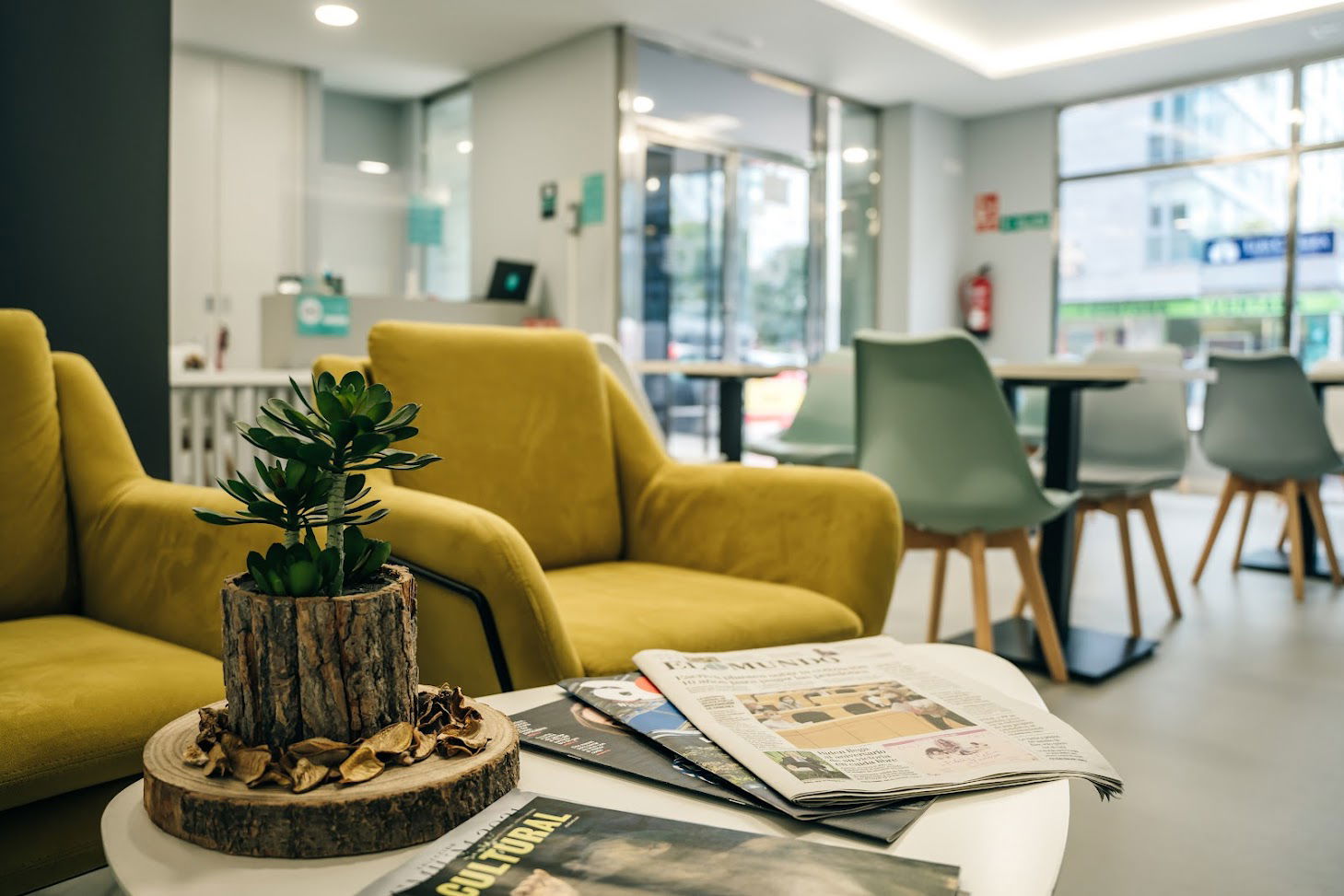 Imagen de la Galería