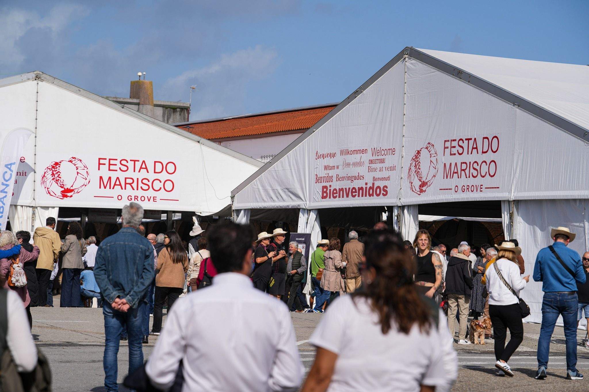 festa-do-marisco-grove
