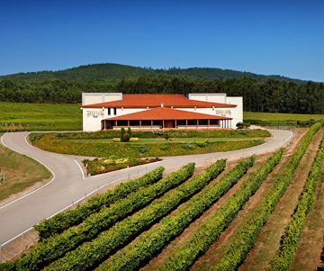 Escapada a Santa Trega con visita a las Bodegas Terras Gauda desde 50,50€/persona