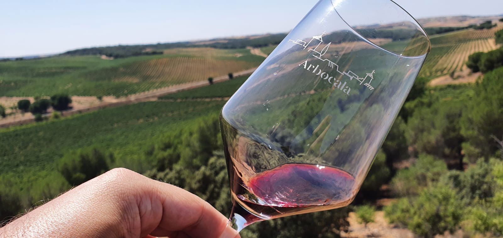 Escapada a Toro con Alda Hotels