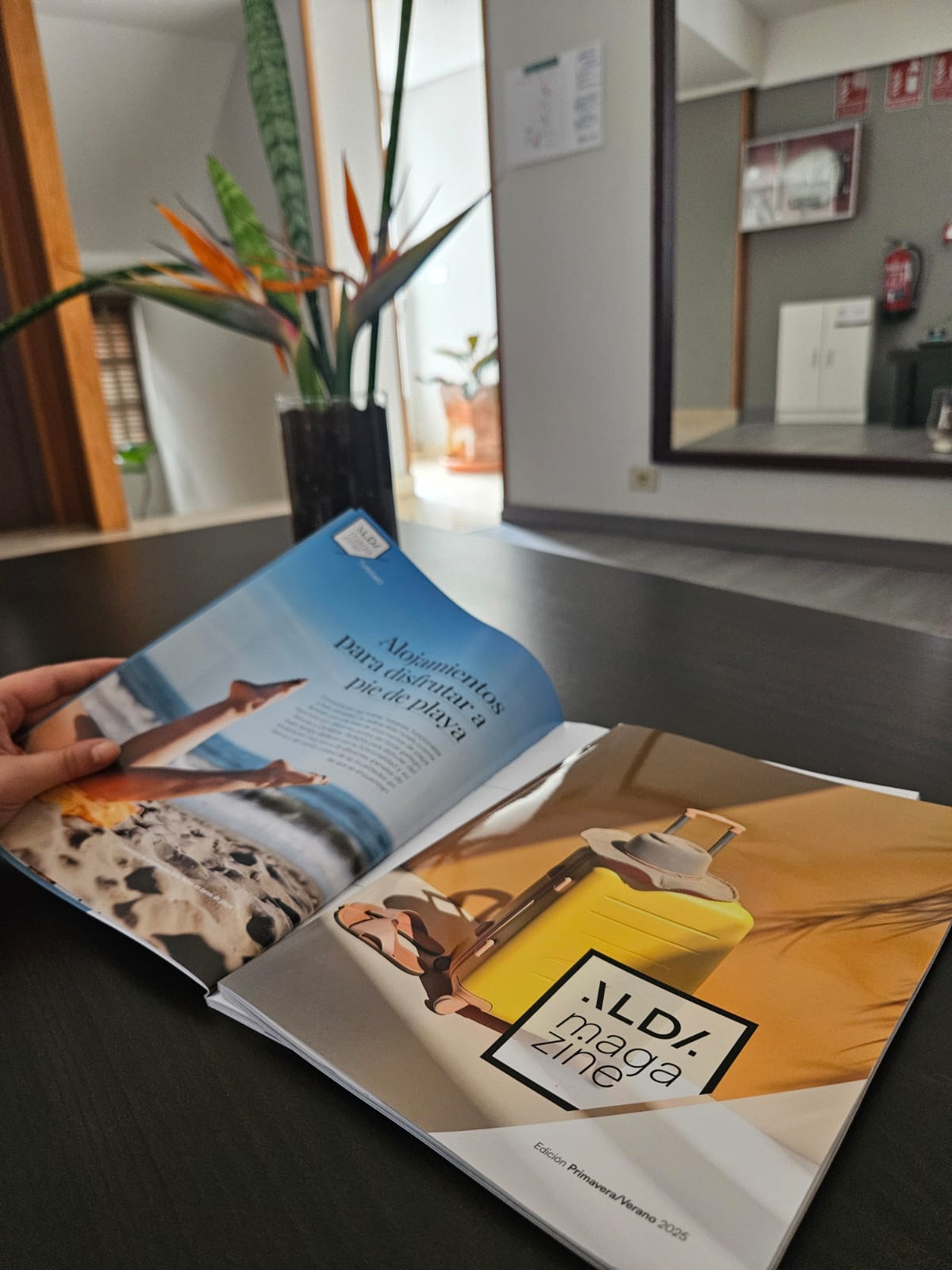 Imagen de la Galería