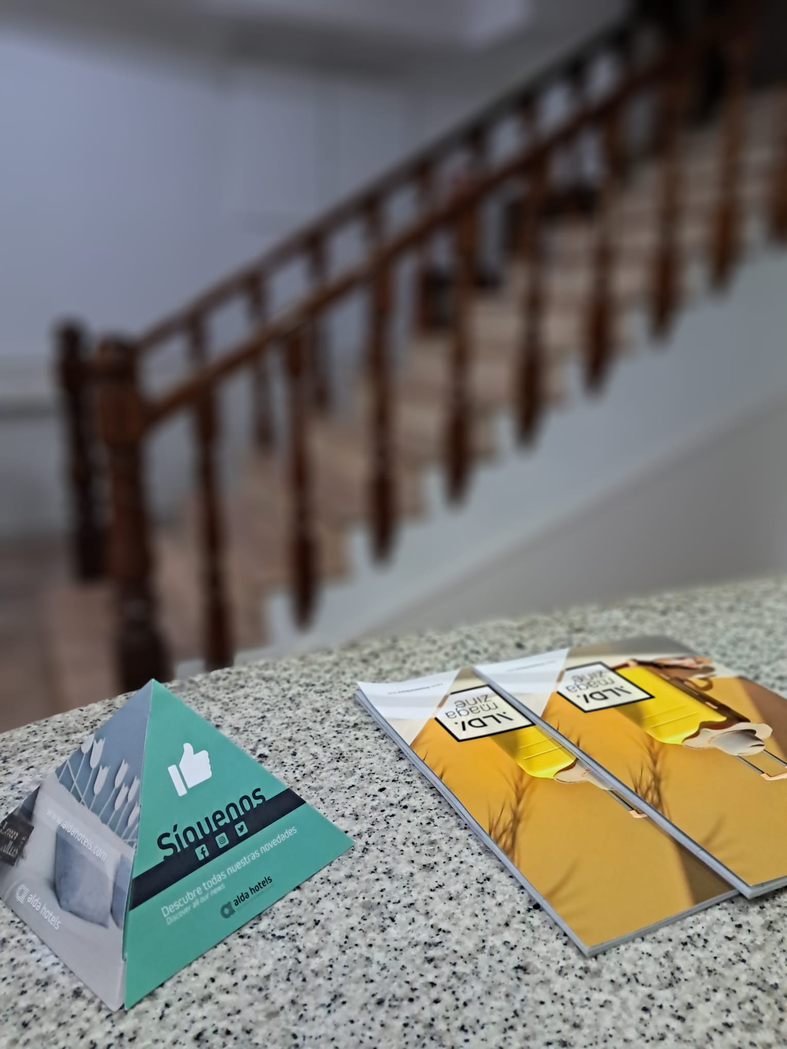 Imagen de la Galería