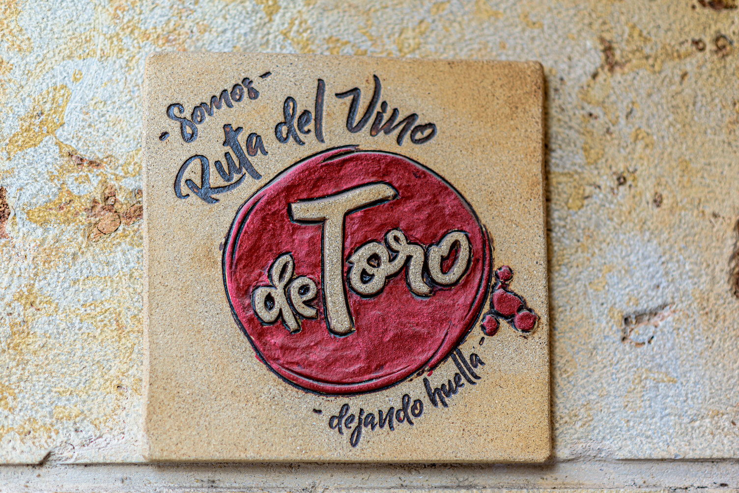 Imagen de la Galería 30