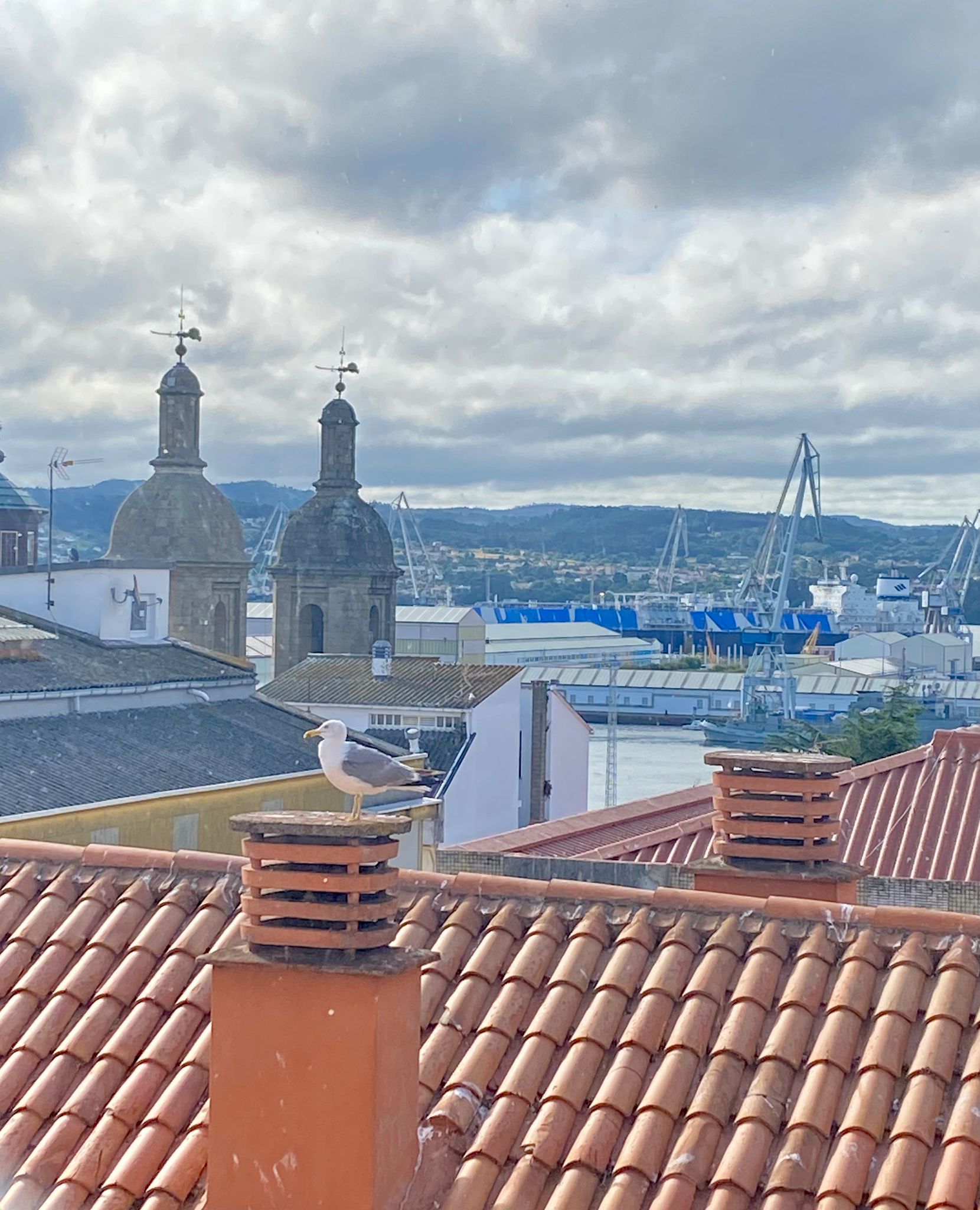 Imagen de la Galería 11