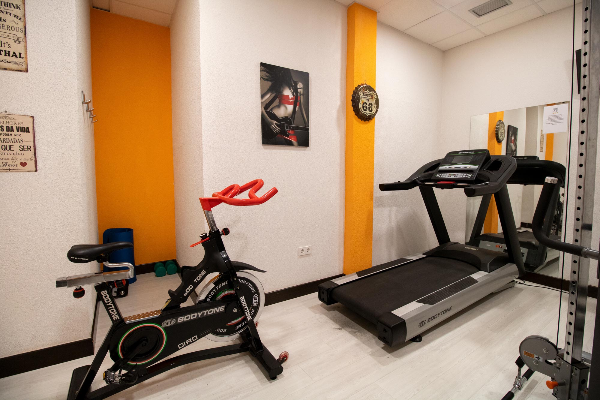 Imagen de la Galería 8