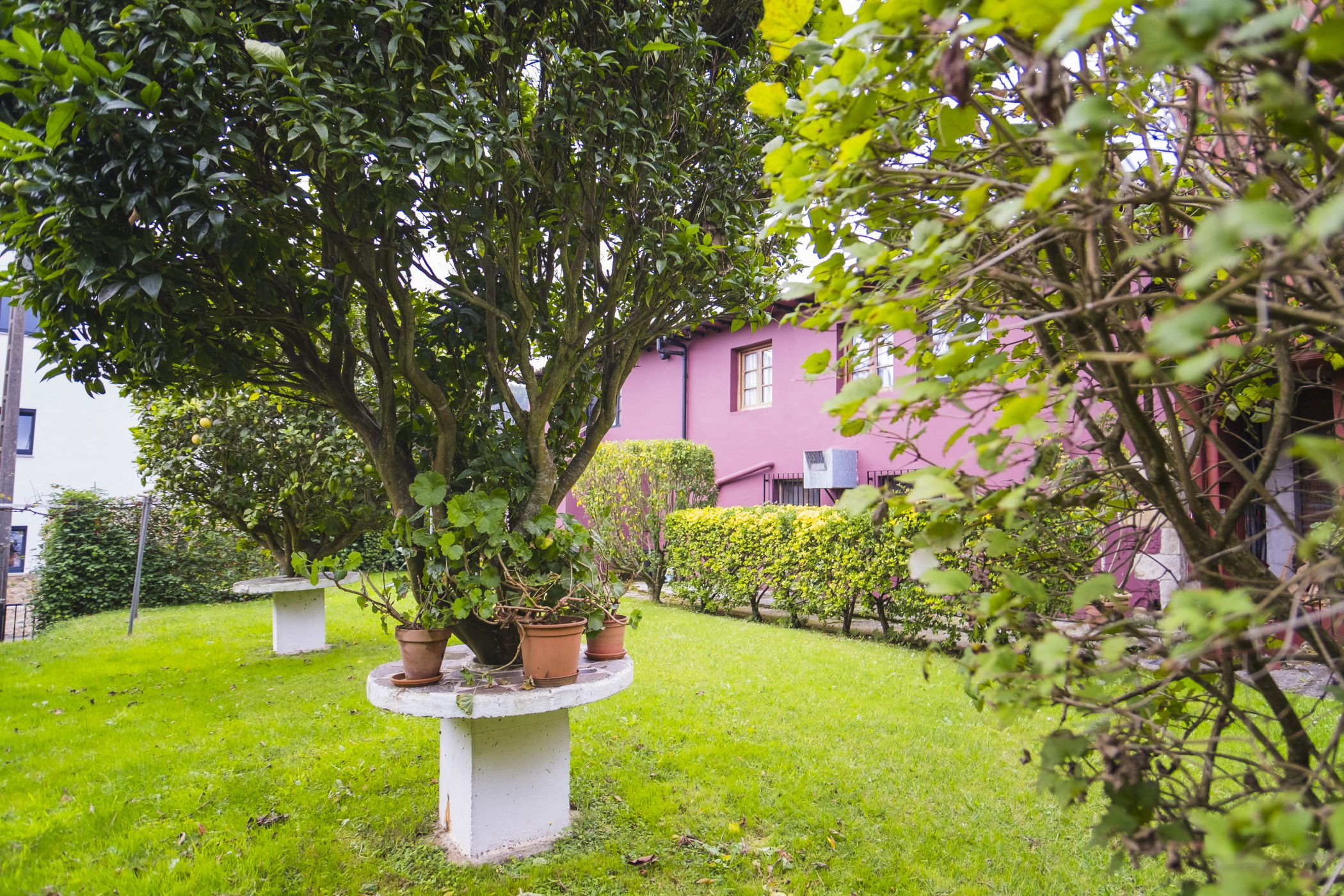 Imagen de la Galería 4