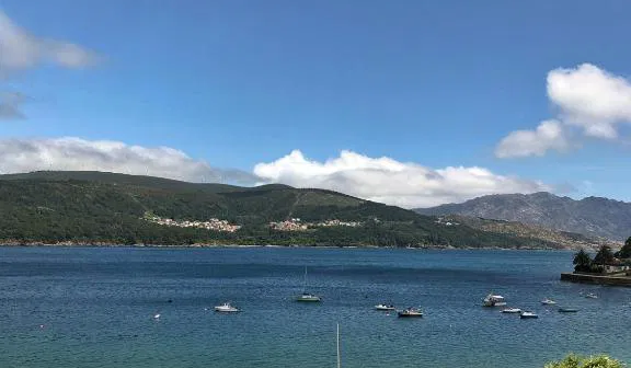 Imagen de la Galería 12