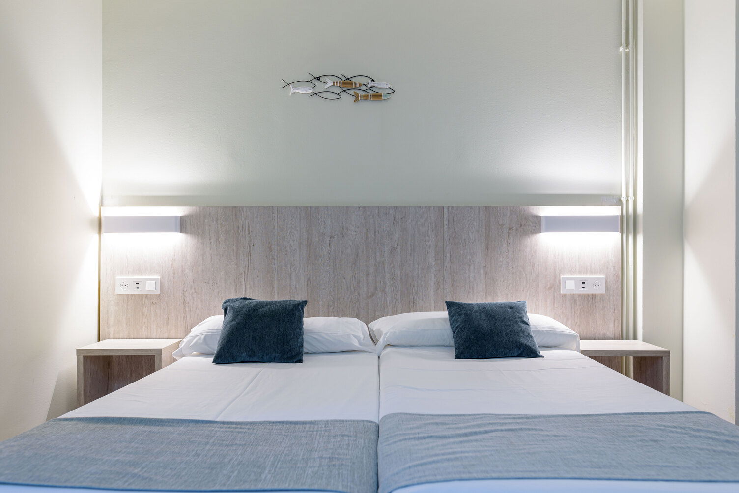 Imagen de la Galería 15