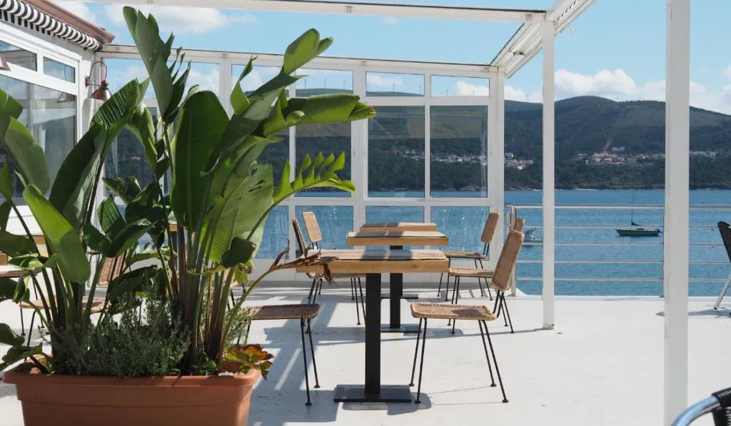 Imagen de la Galería 13