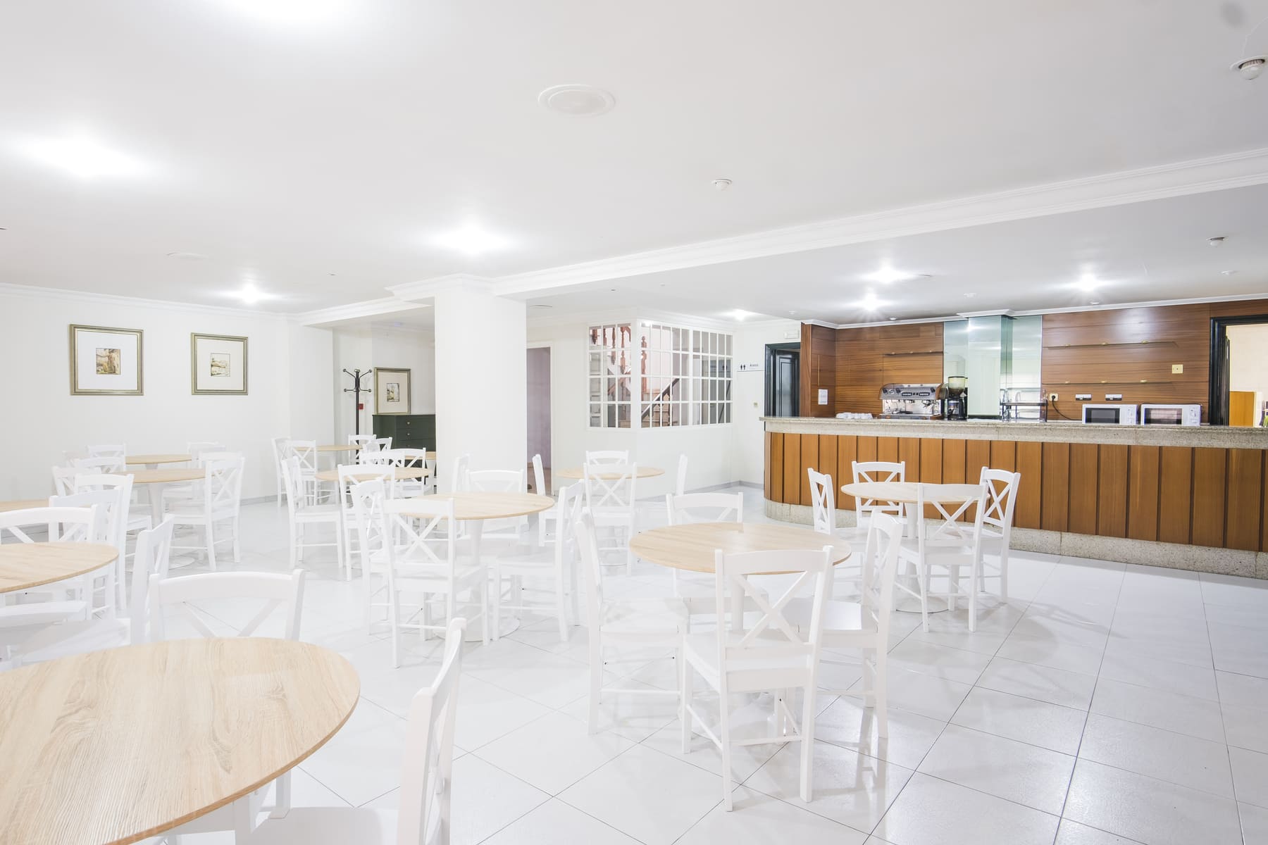 Imagen de la Galería 8