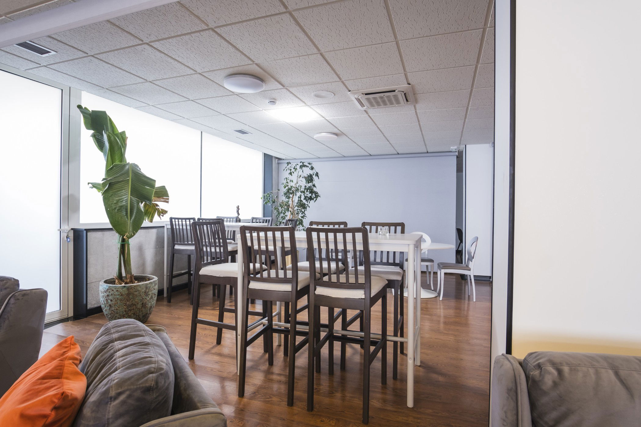 Imagen de la Galería 6