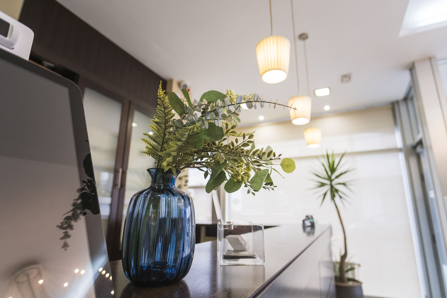 Imagen de la Galería 11