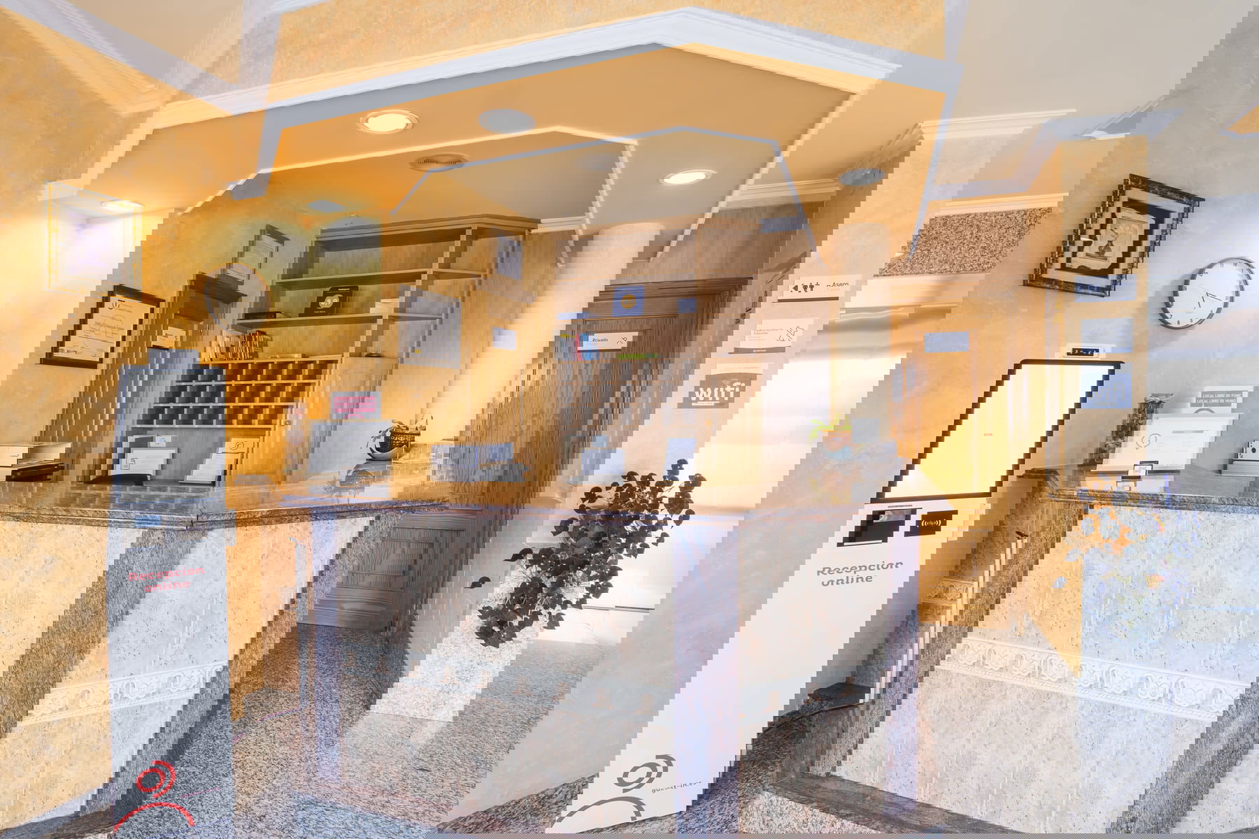 Imagen de la Galería 4