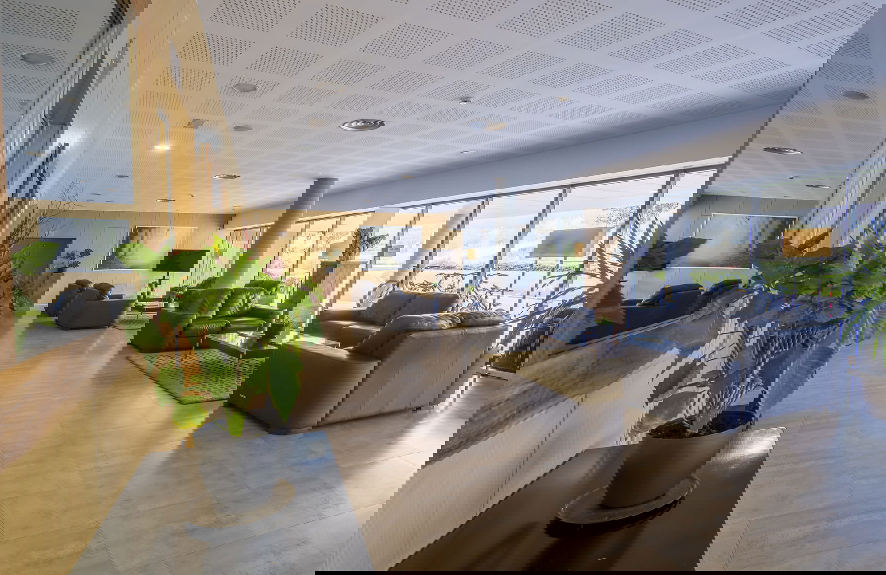 Imagen de la Galería 5