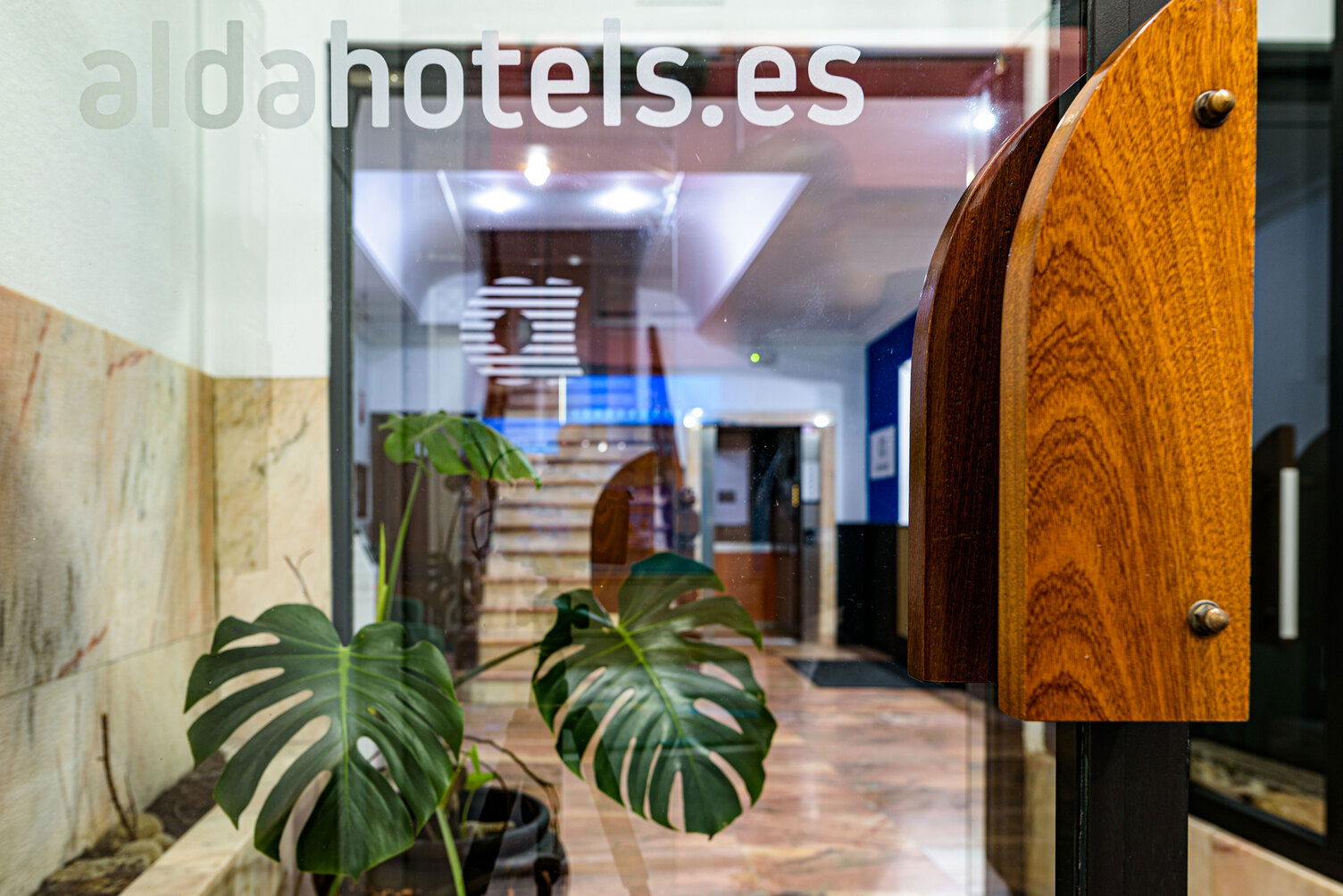 Imagen de la Galería 21