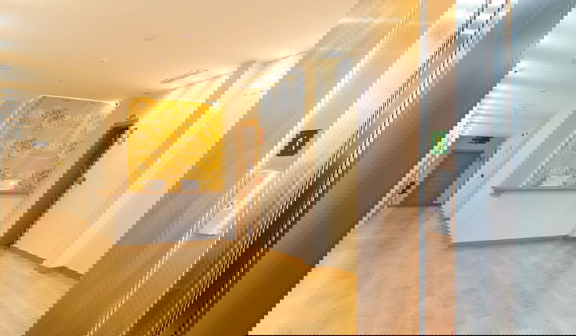 Imagen de la Galería 6