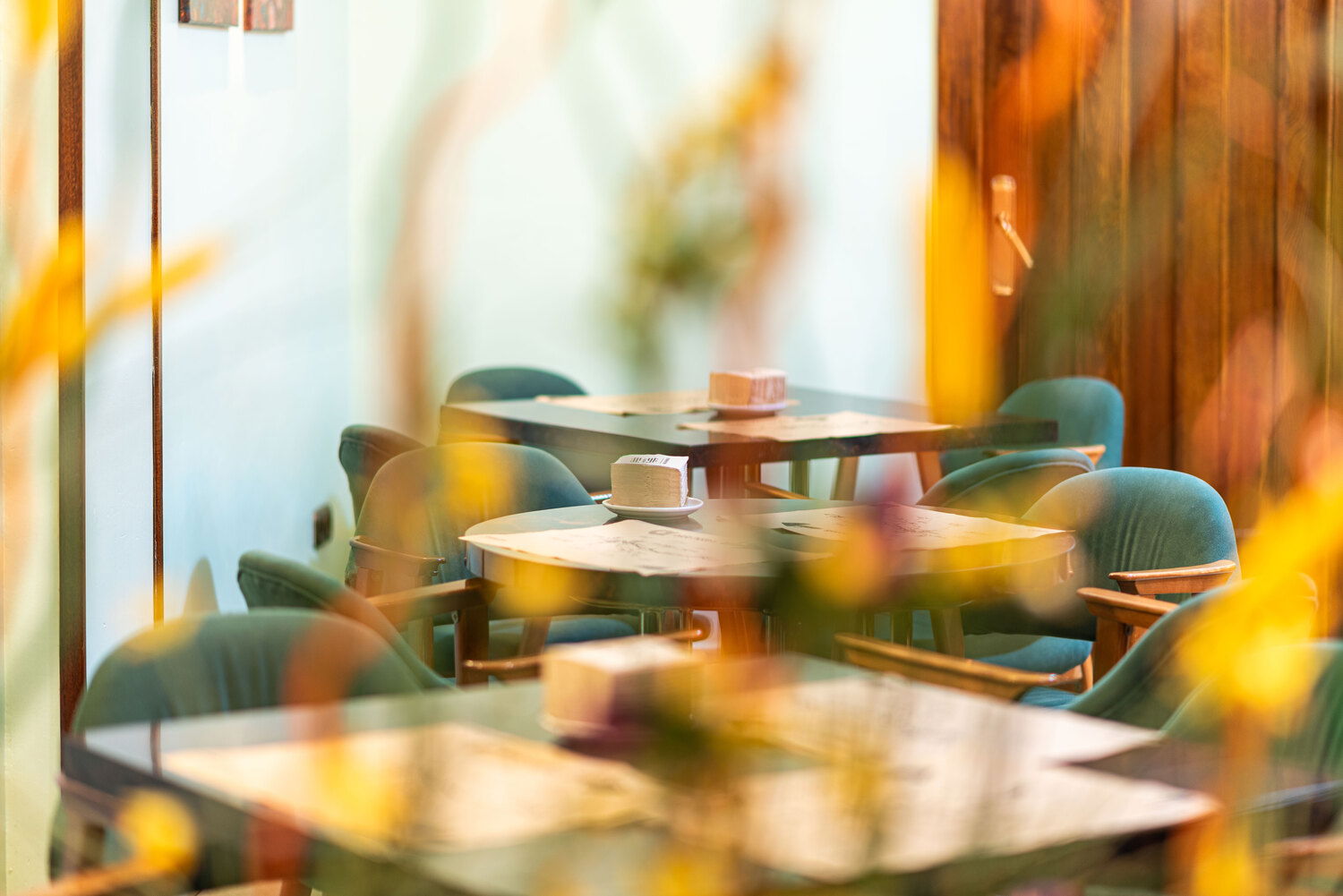 Imagen de la Galería 10