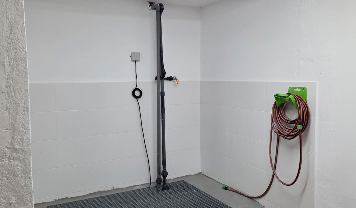 Imagen de la Galería 11