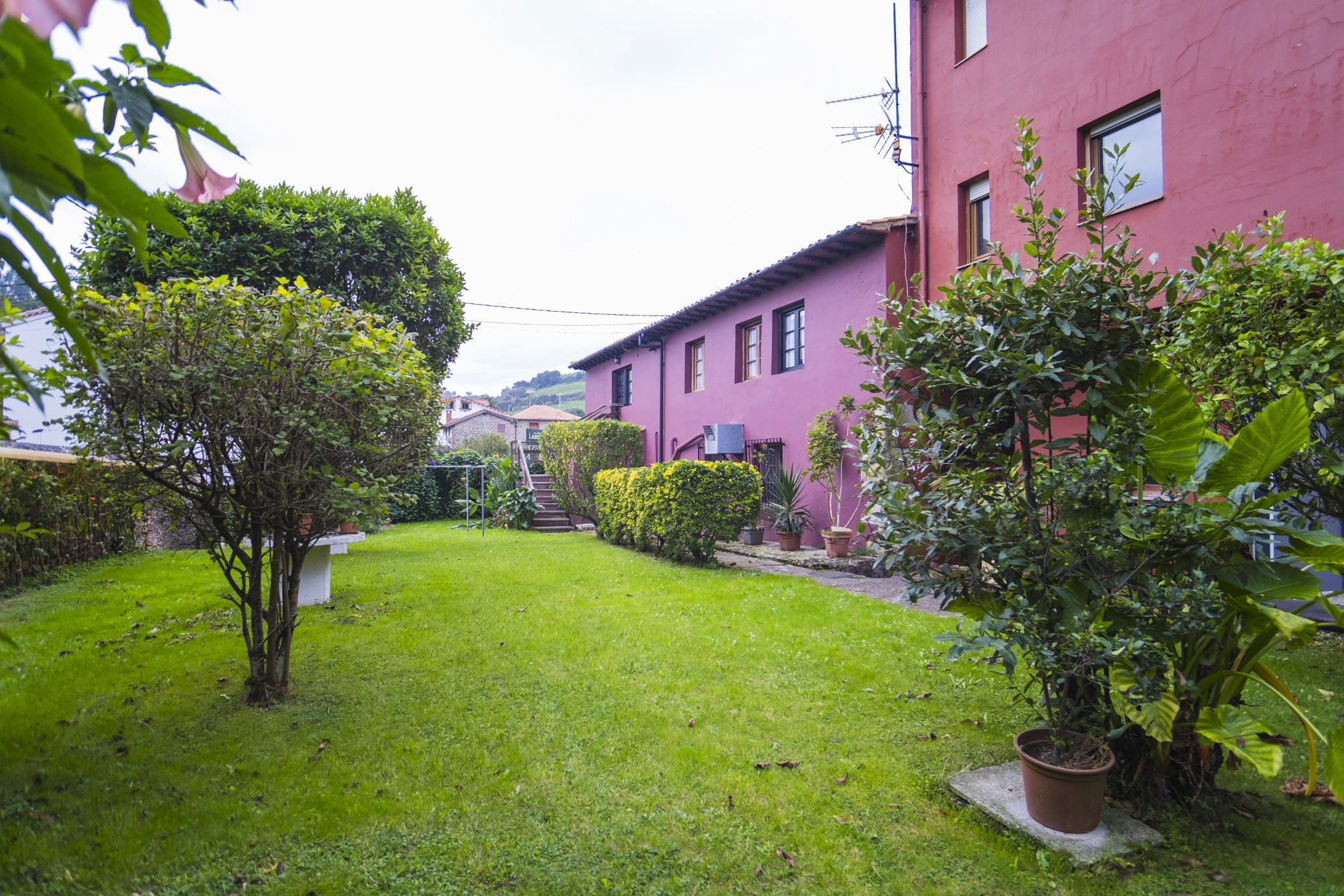 Imagen de la Galería 3