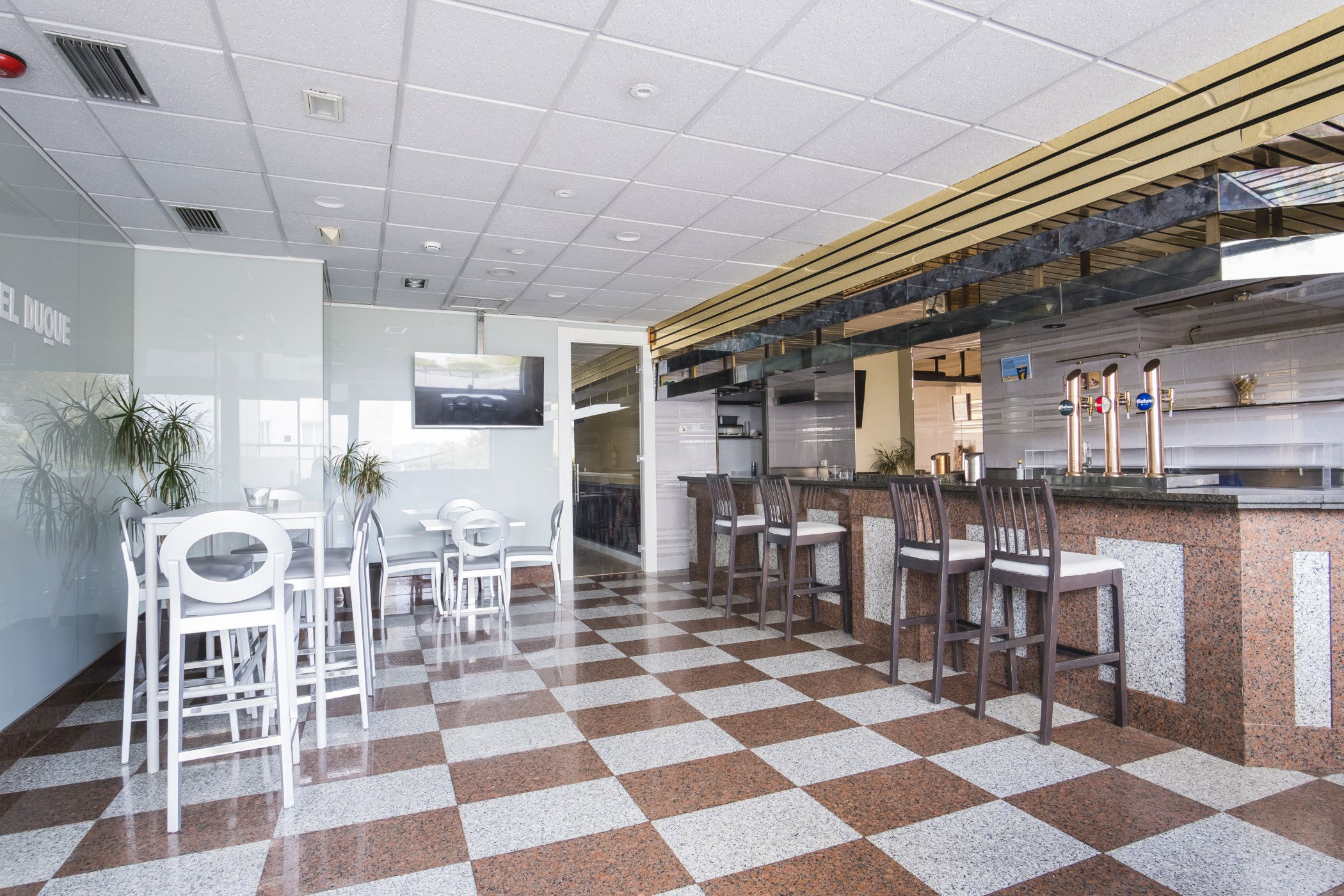 Imagen de la Galería 11