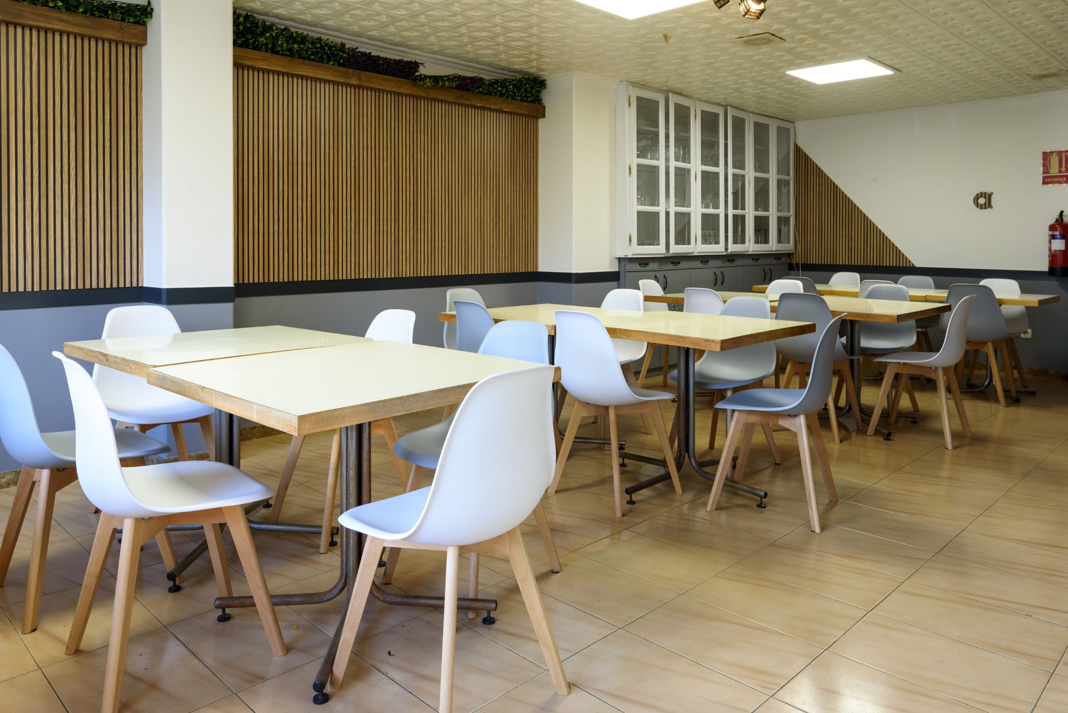 Imagen de la Galería 12