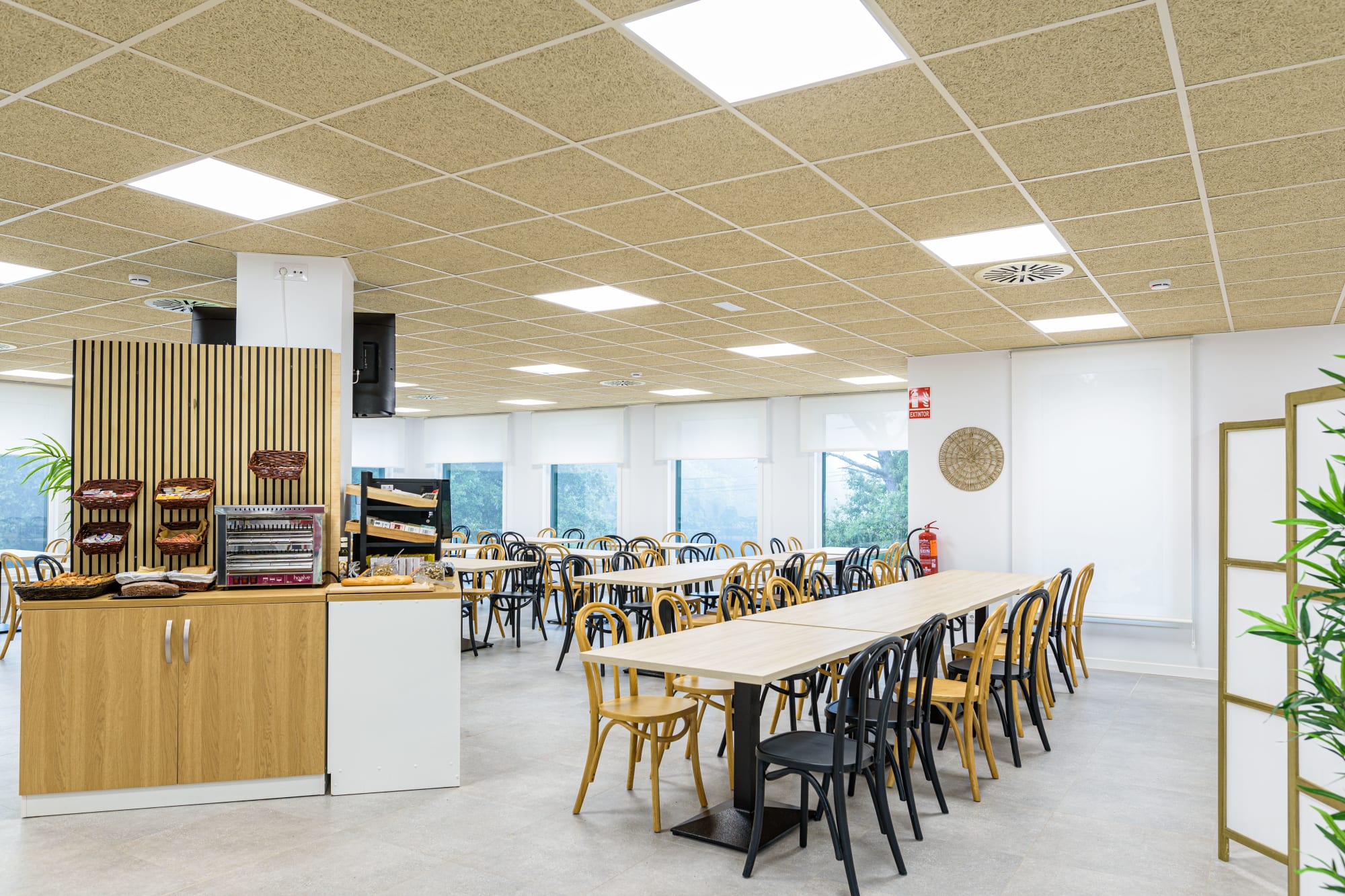 Imagen de la Galería 6