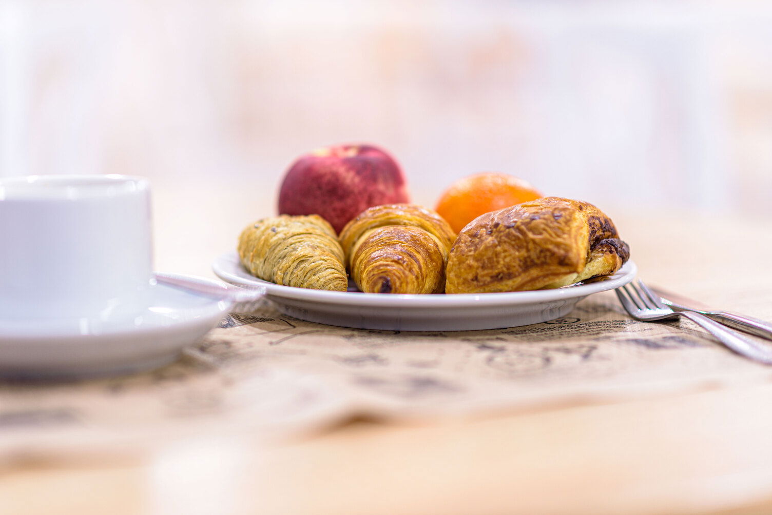 Imagen de la Galería 13