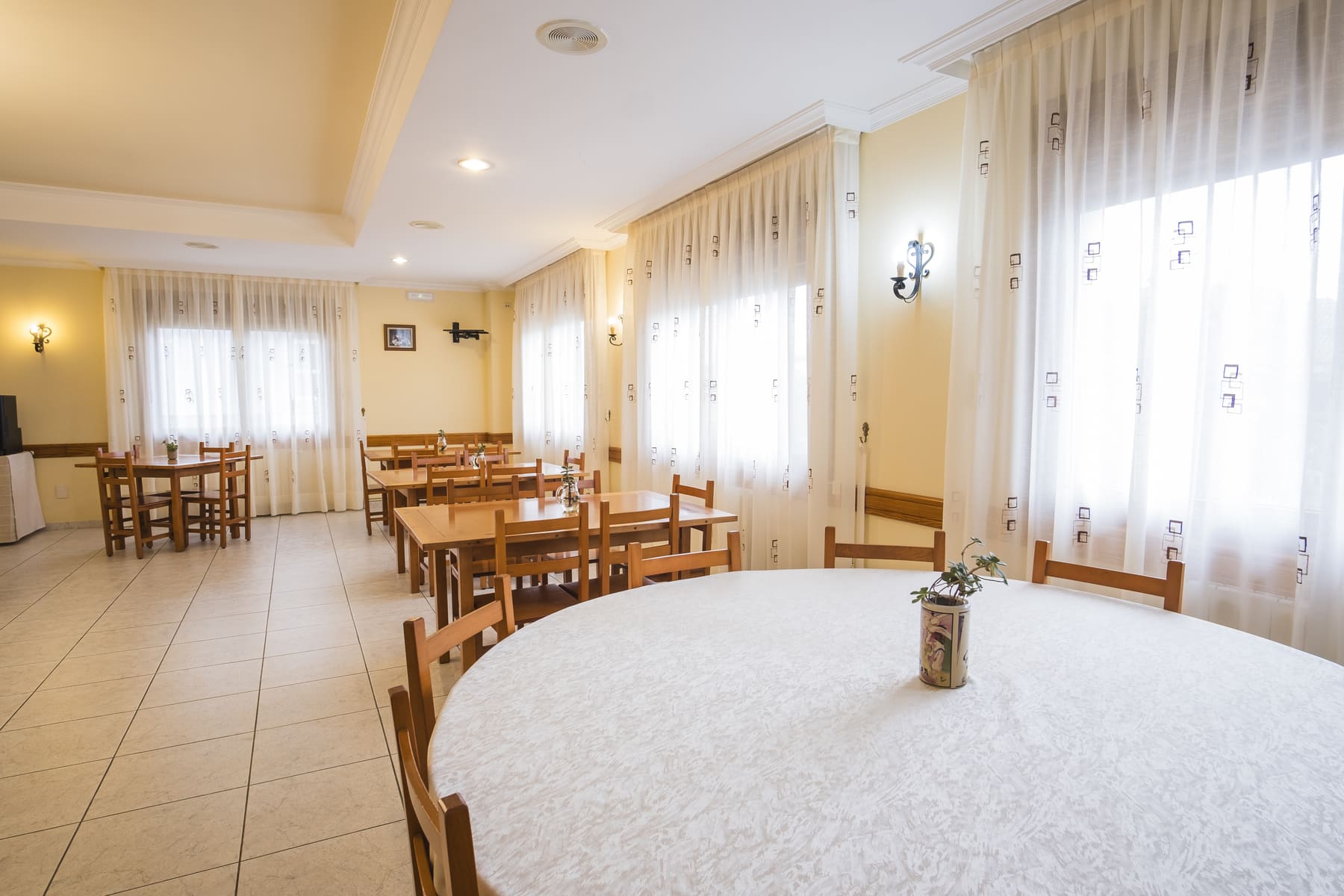 Imagen de la Galería 7