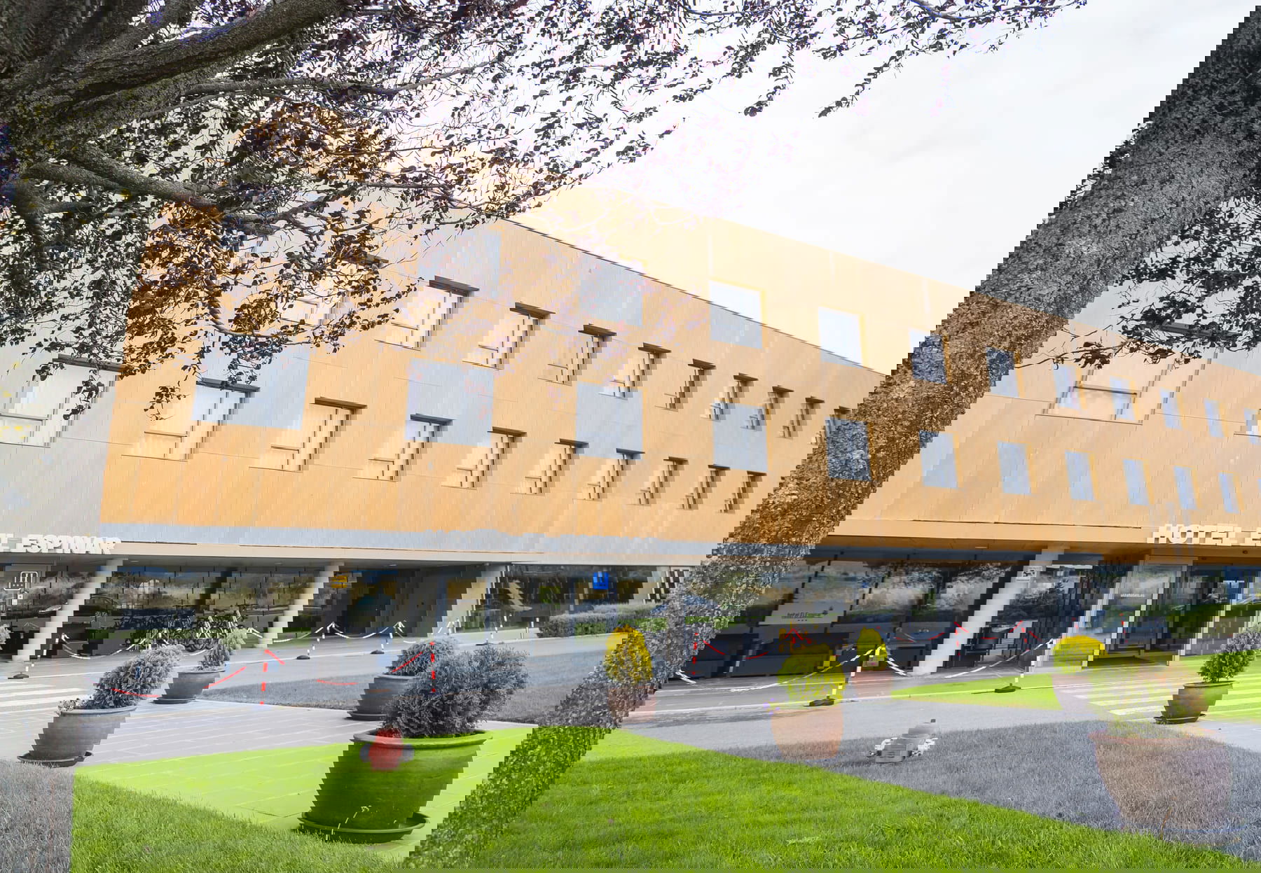 Imagen de la Galería 8