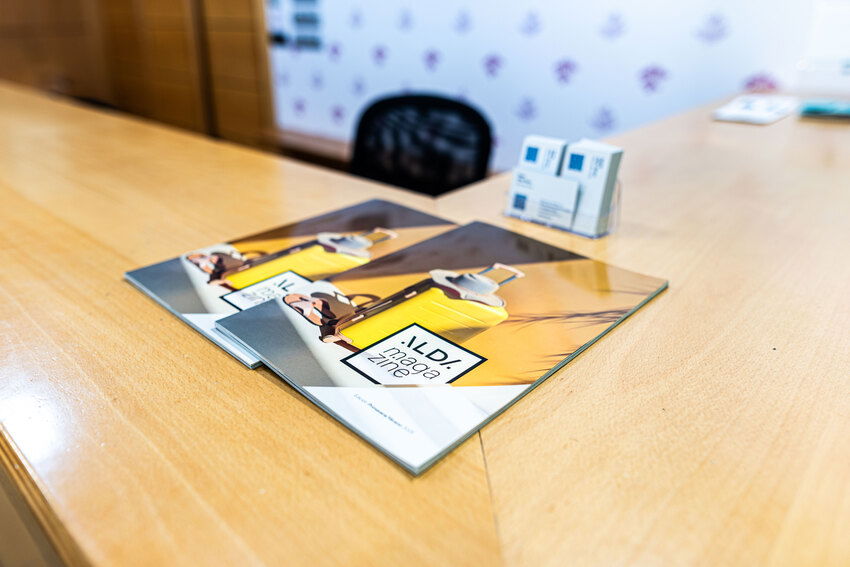 Imagen de la Galería 7