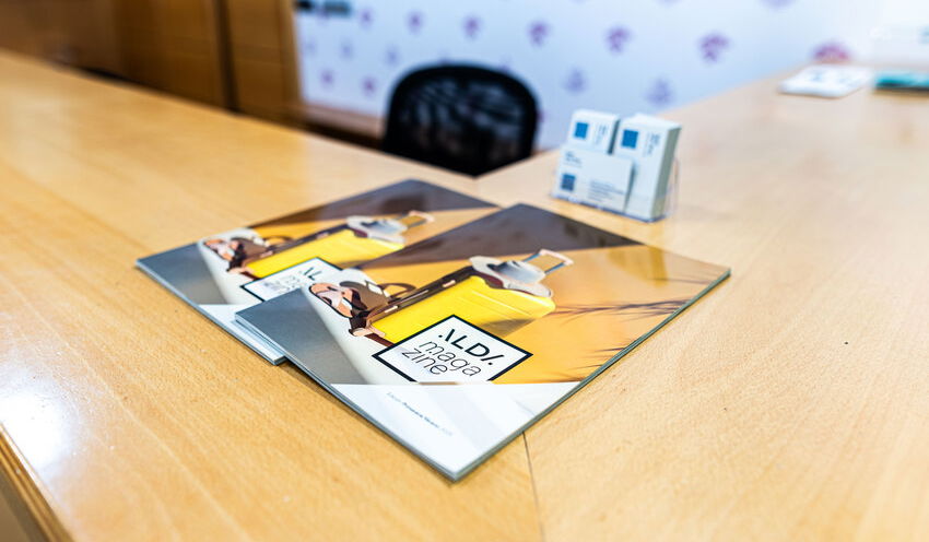 Imagen de la Galería 7