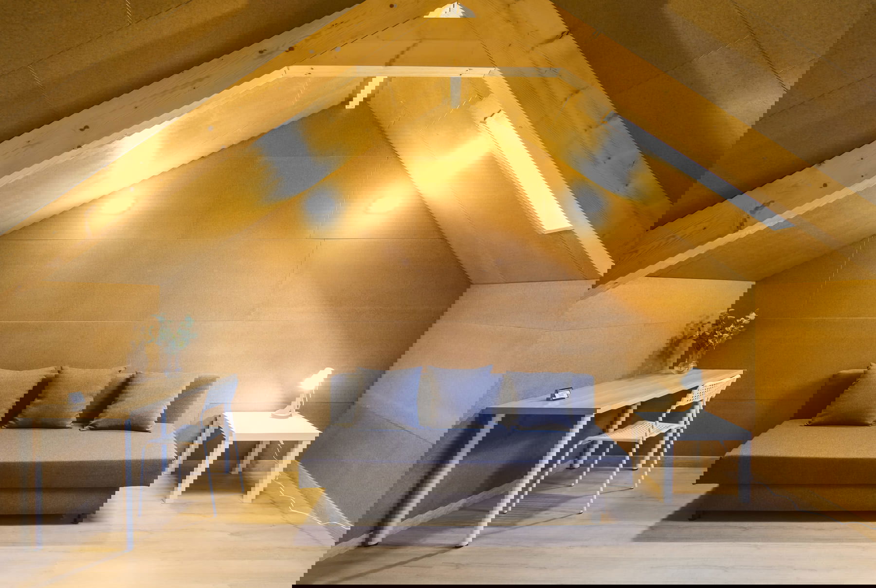 Imagen de la Galería 11