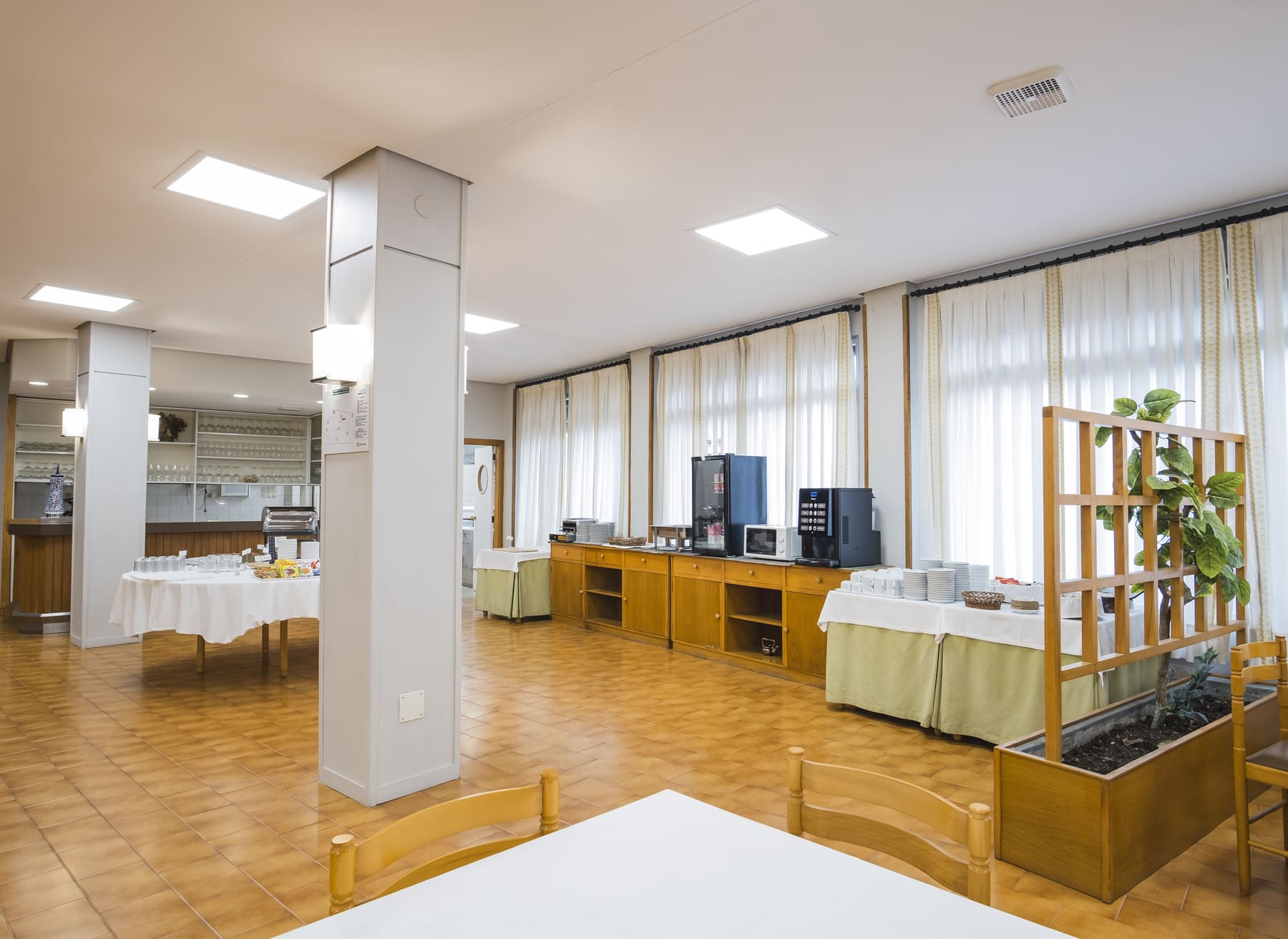 Imagen de la Galería 7