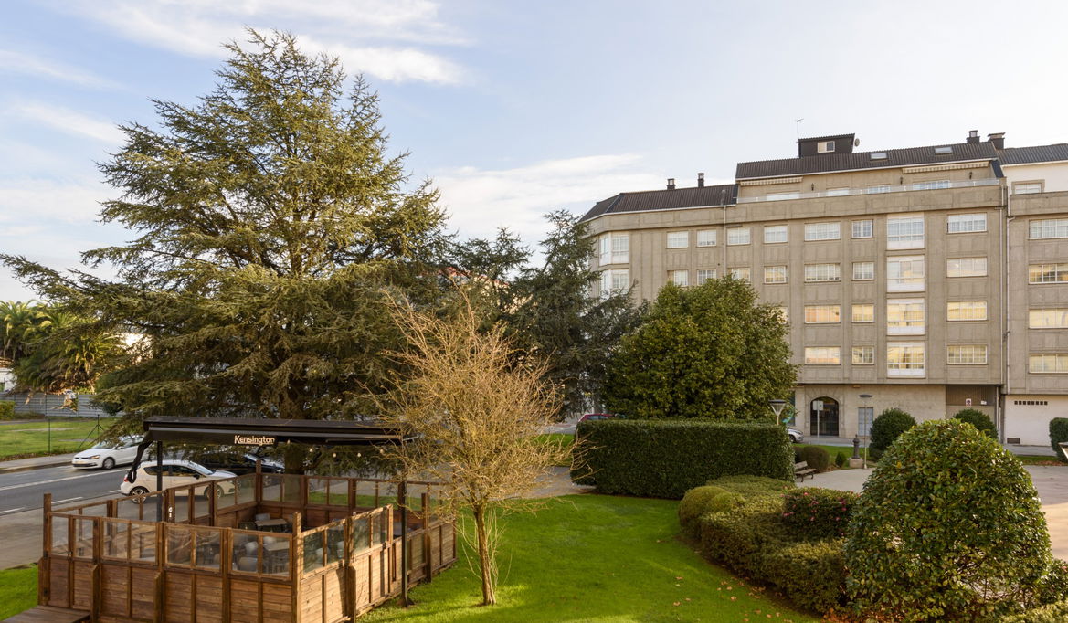 Imagen de la Galería 11