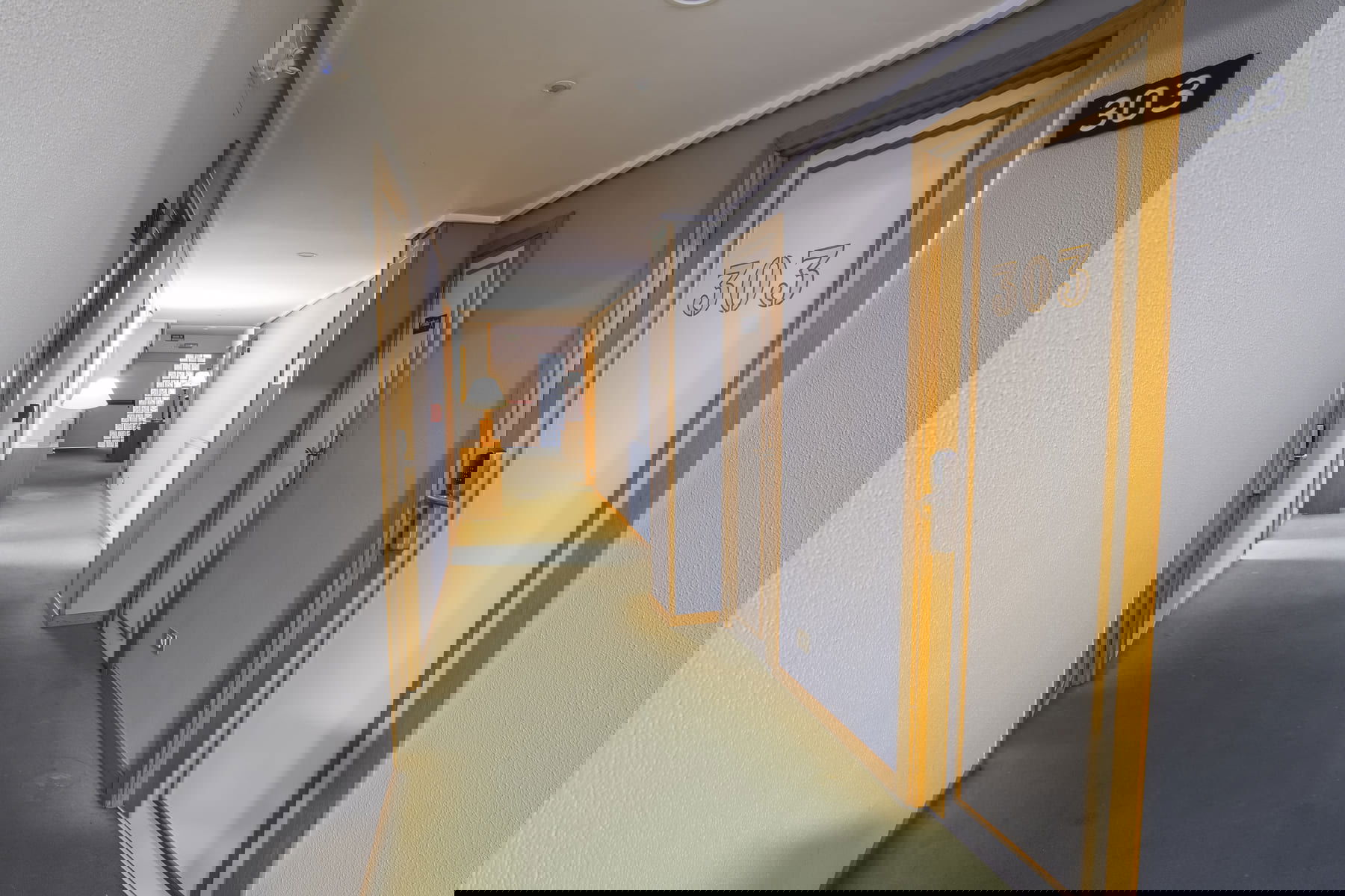 Imagen de la Galería 11