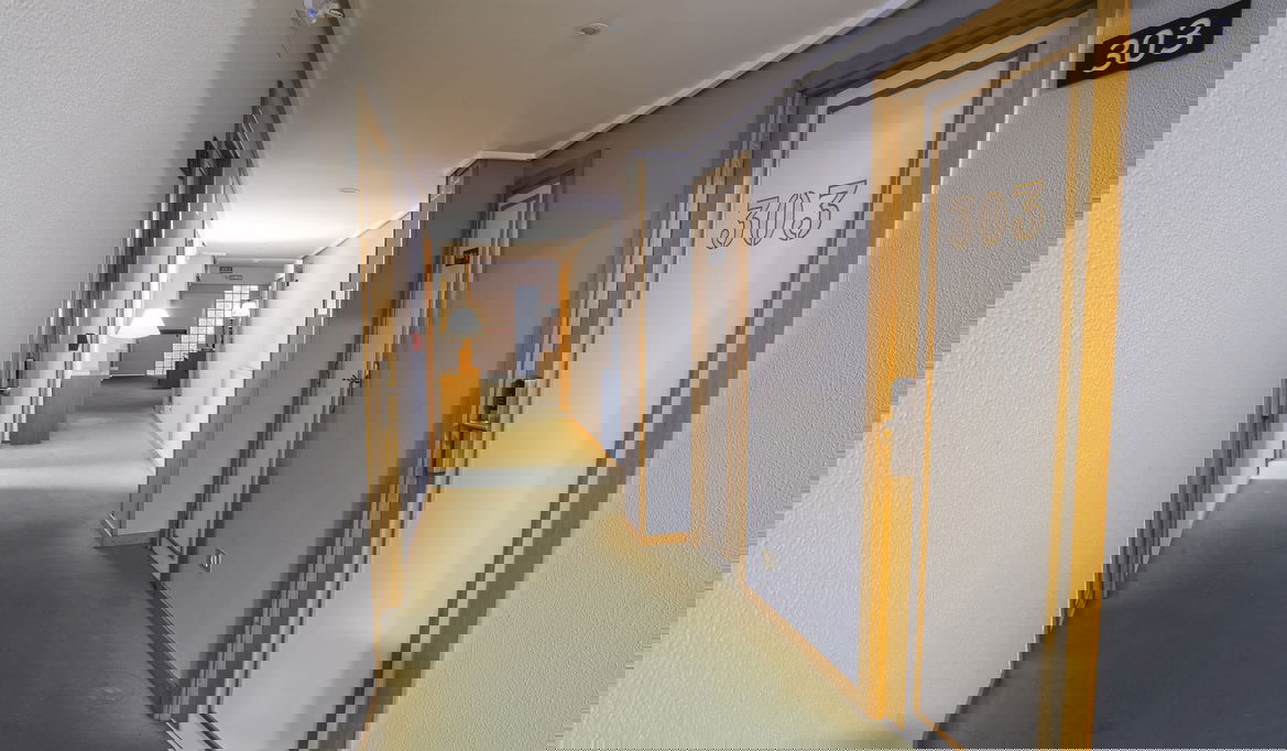 Imagen de la Galería 11