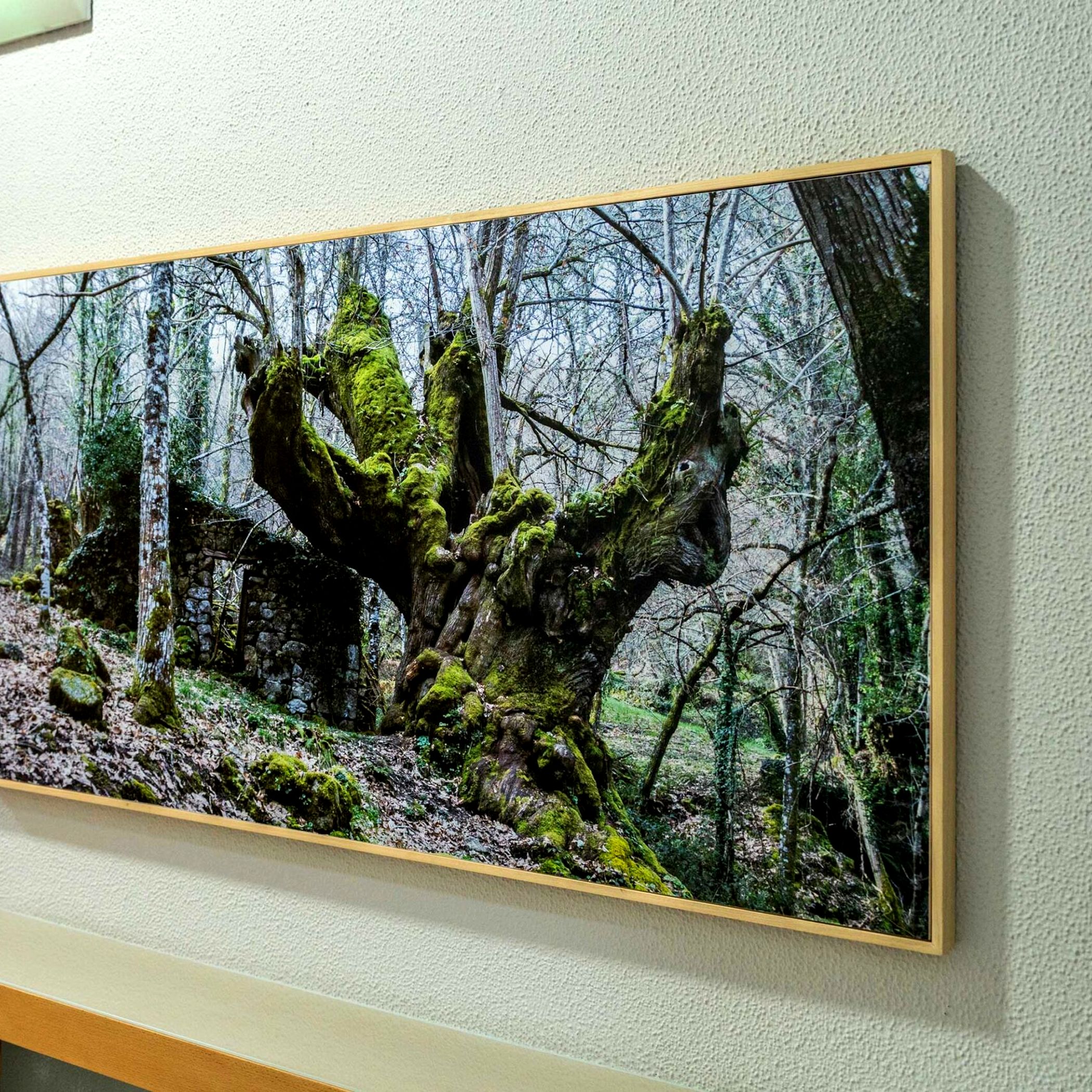 Imagen de la Galería 13
