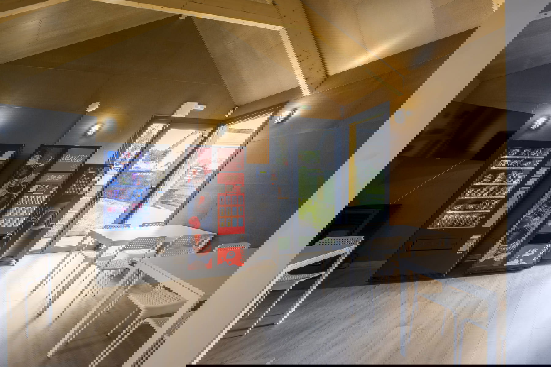 Imagen de la Galería 3