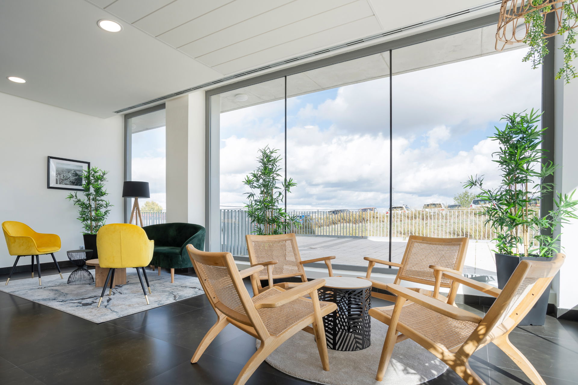 Imagen de la Galería