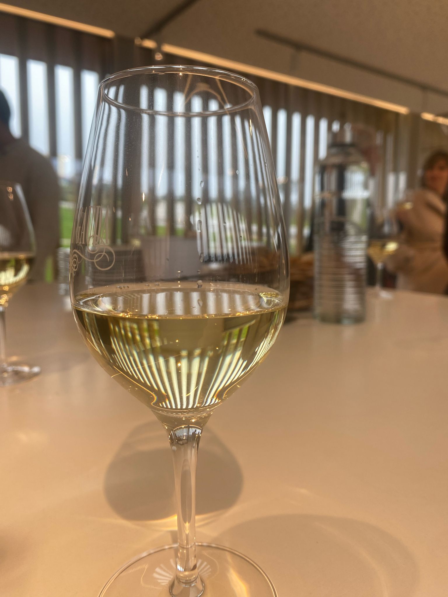 Imagen de la Galería