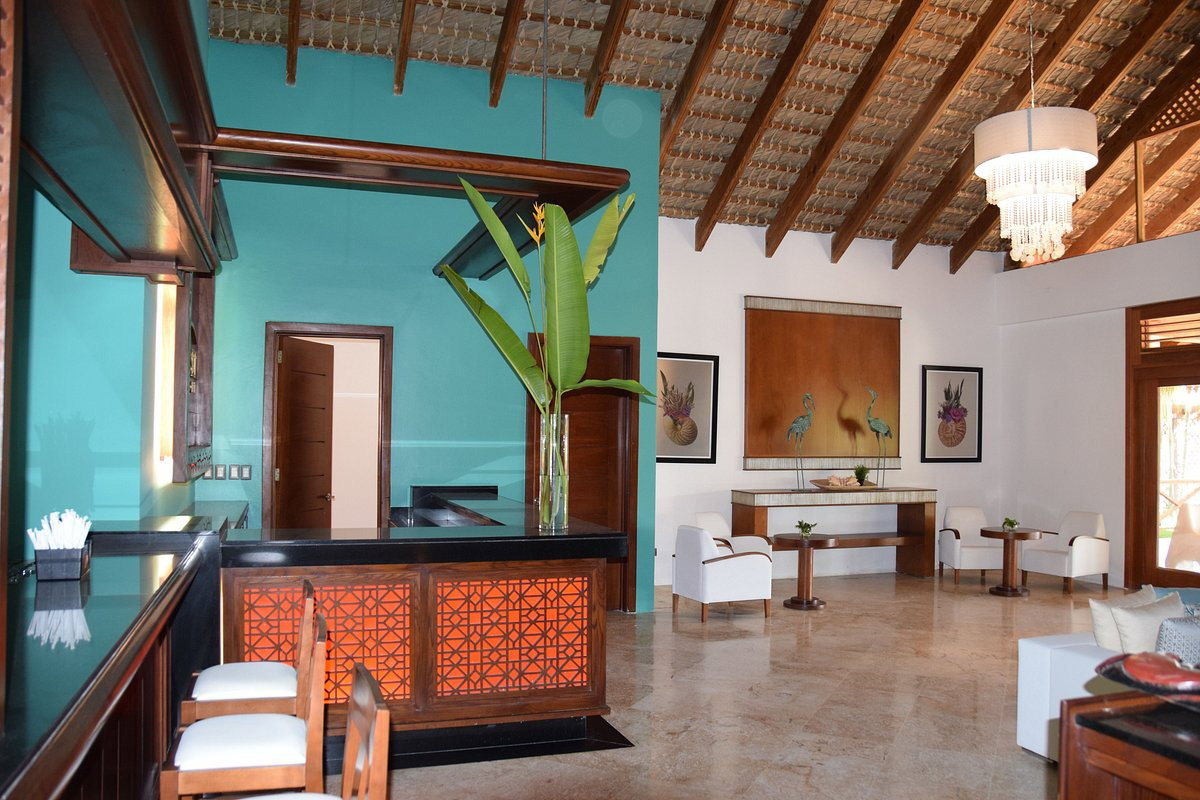 Recepción o zona de estar con sofás blancos y una pared de madera con peces decorativos colgados
