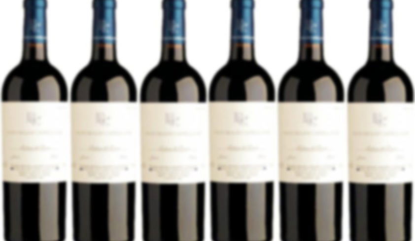 WINES & CAVAS